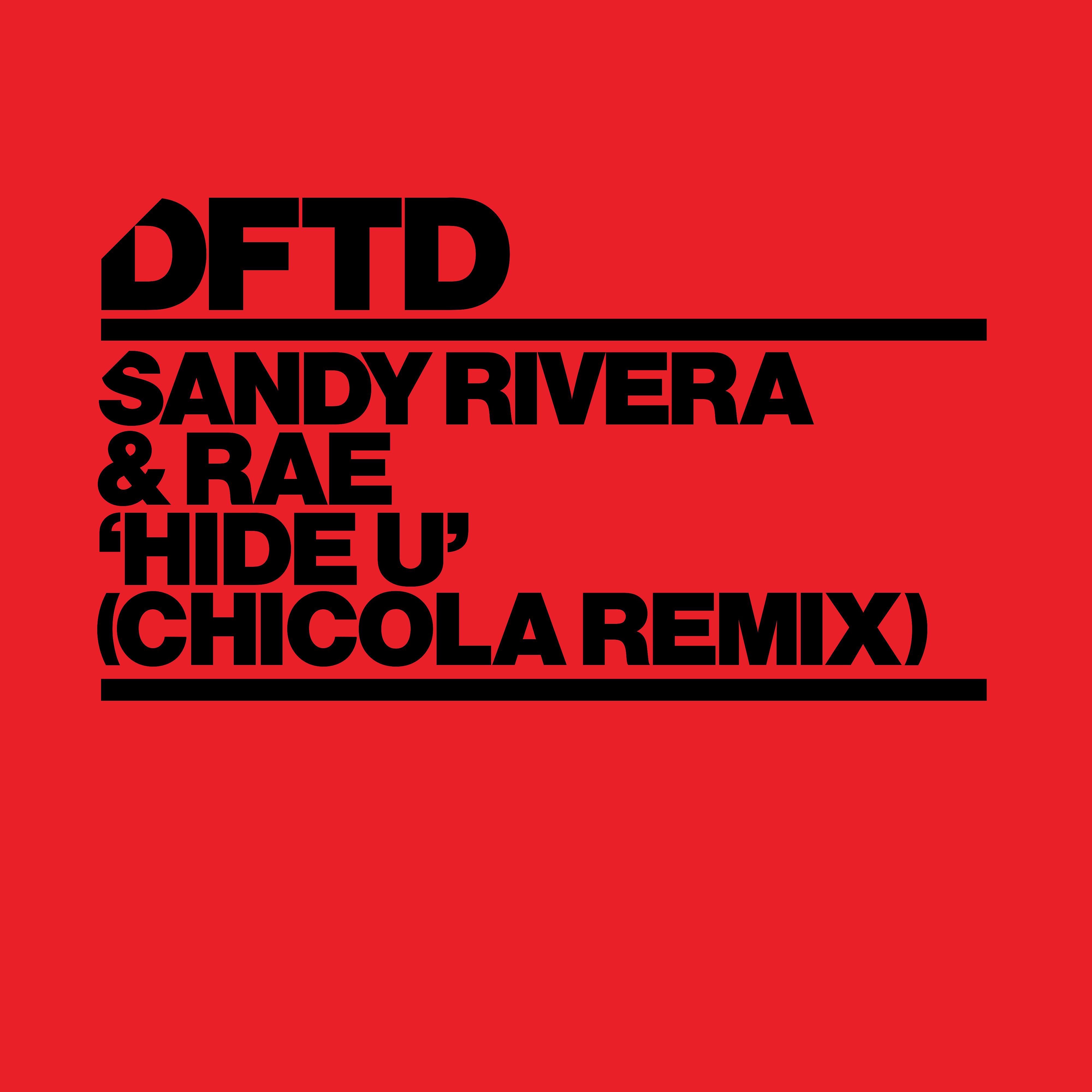 Постер альбома Hide U (Chicola Remix)