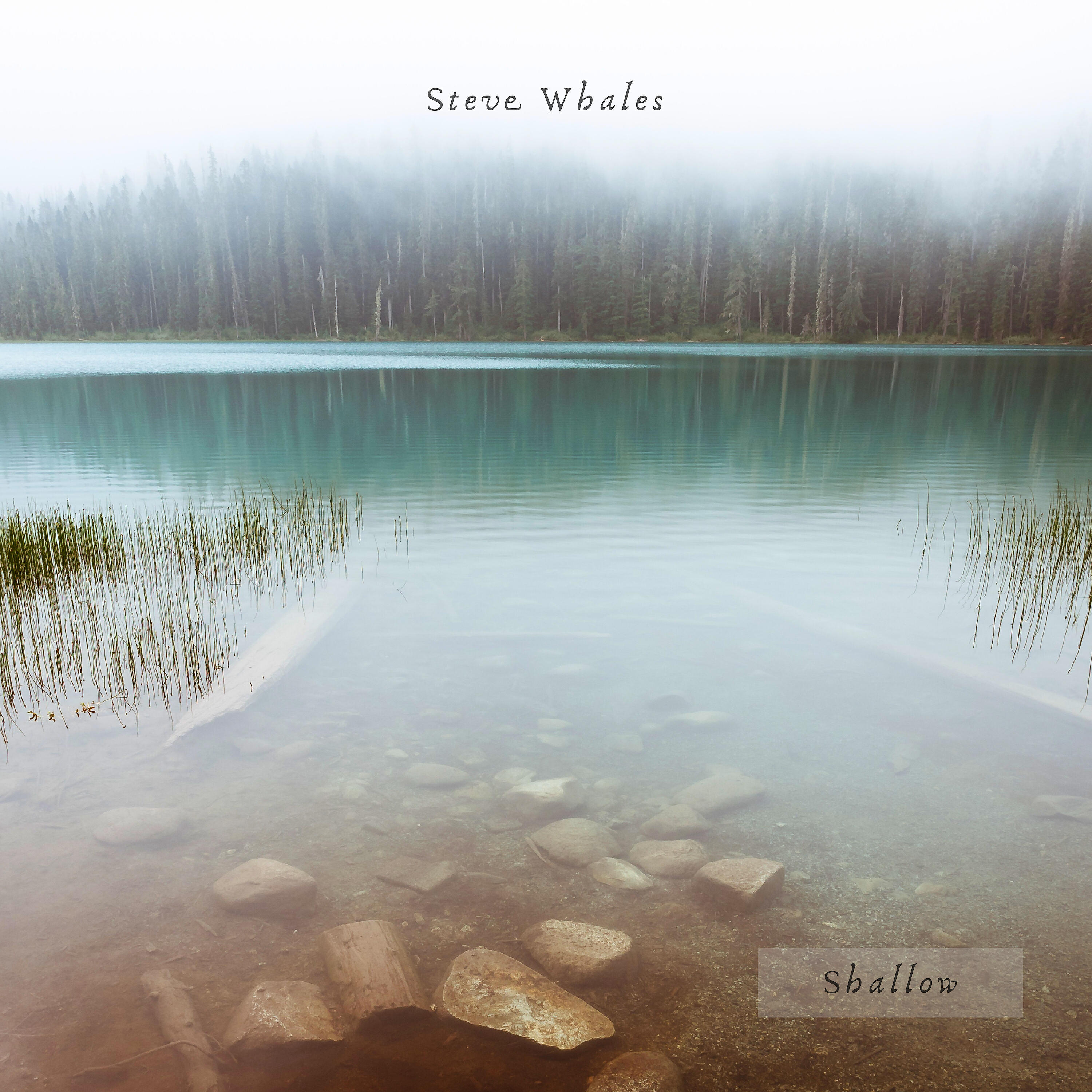 Steve Whales - Shallow