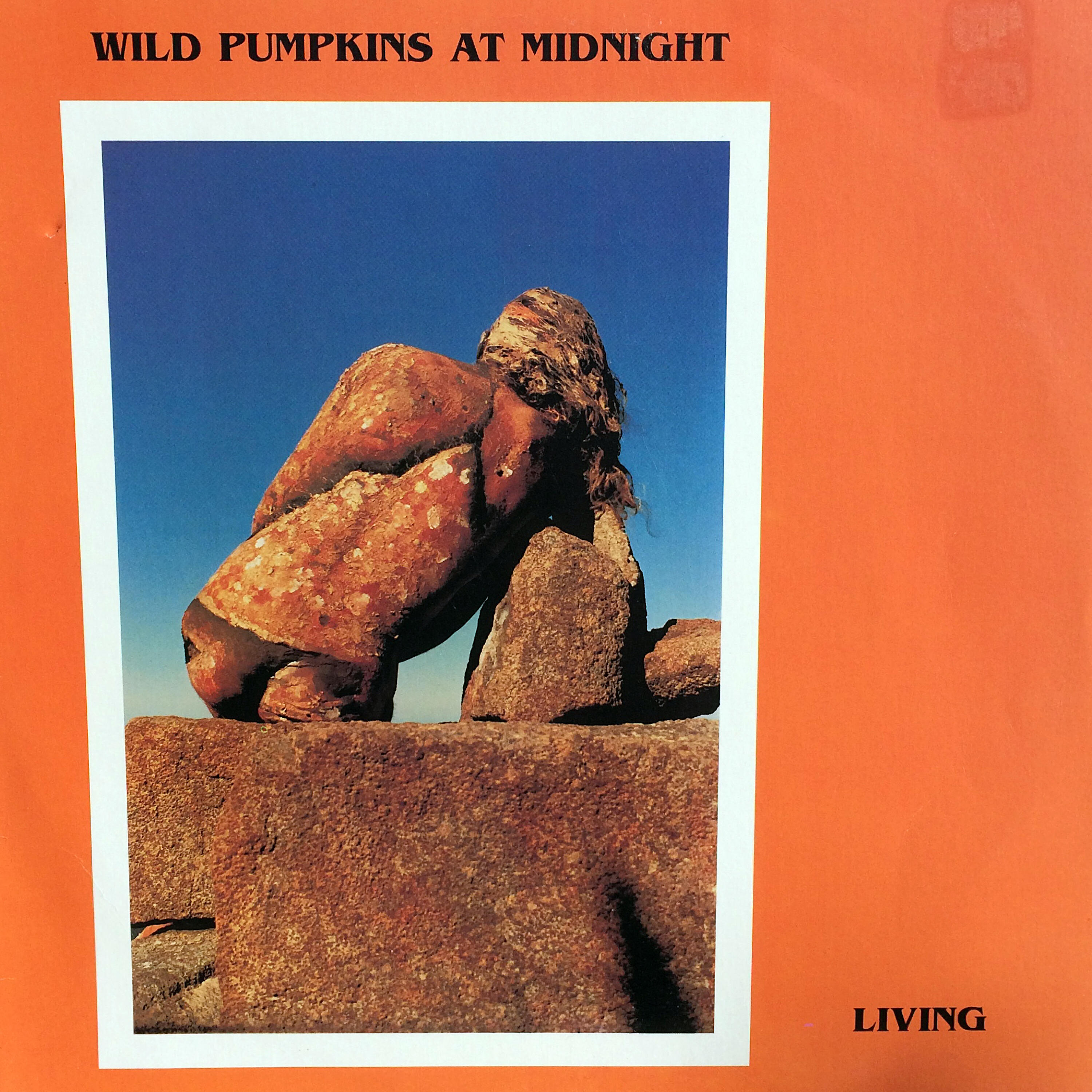 Wild Pumpkins at Midnight - Nuclear Picnic