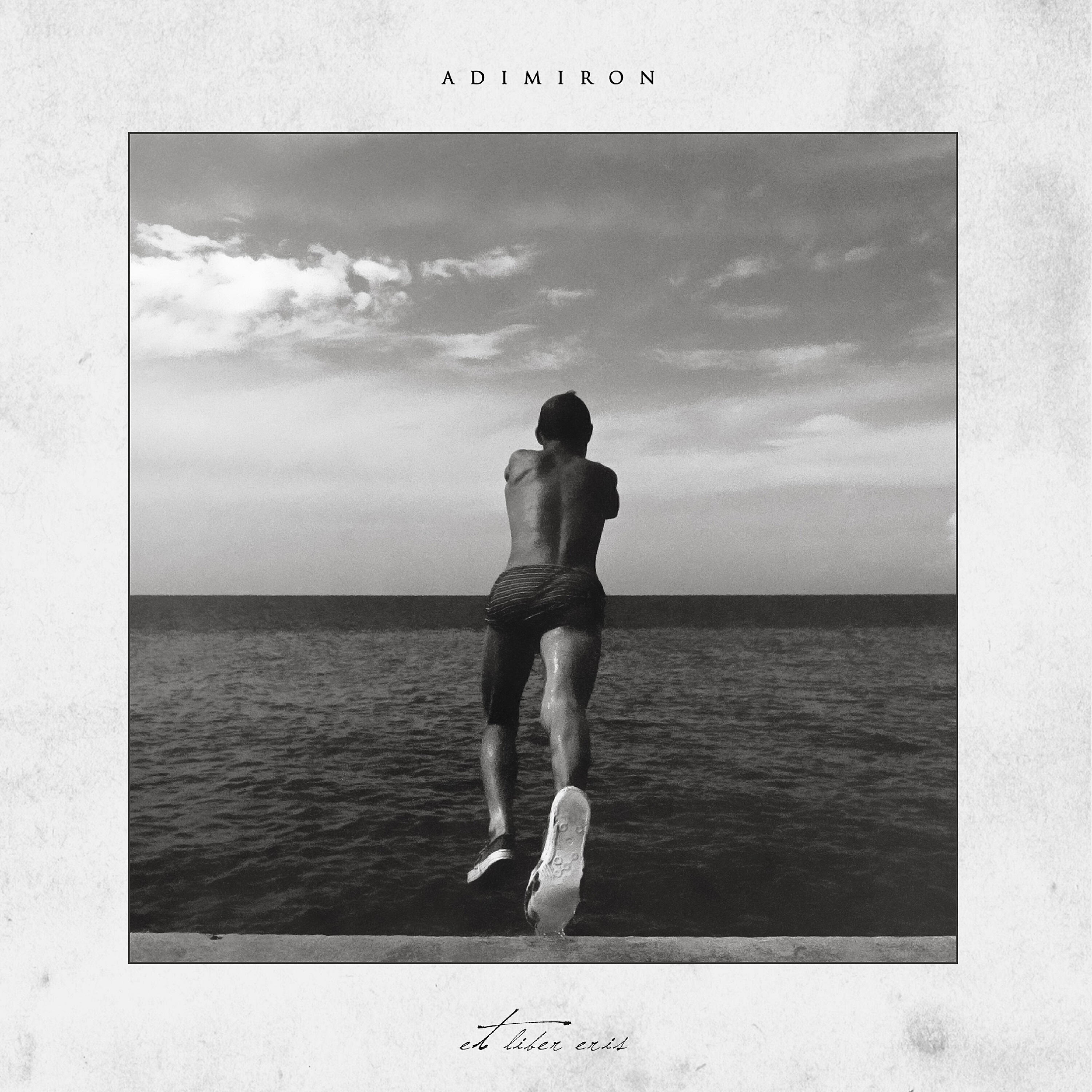 Adimiron - The Sentinel