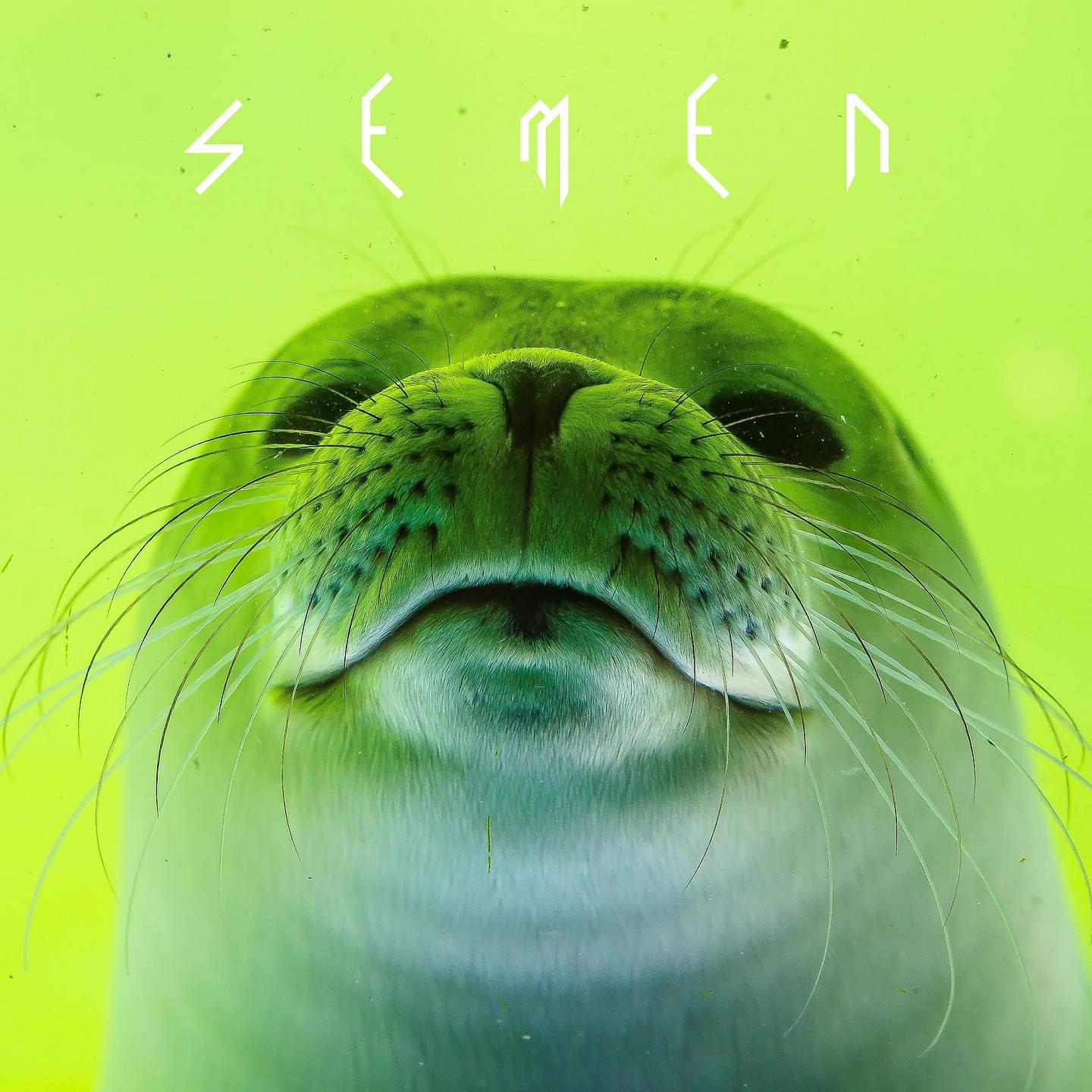 Постер альбома Semen