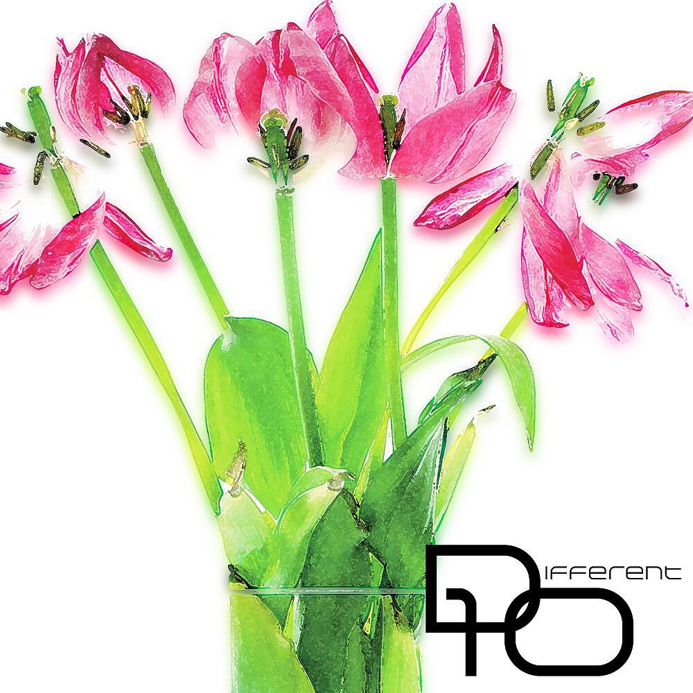 Takuya Yamashita - Seed (Dub Techno Reshape)