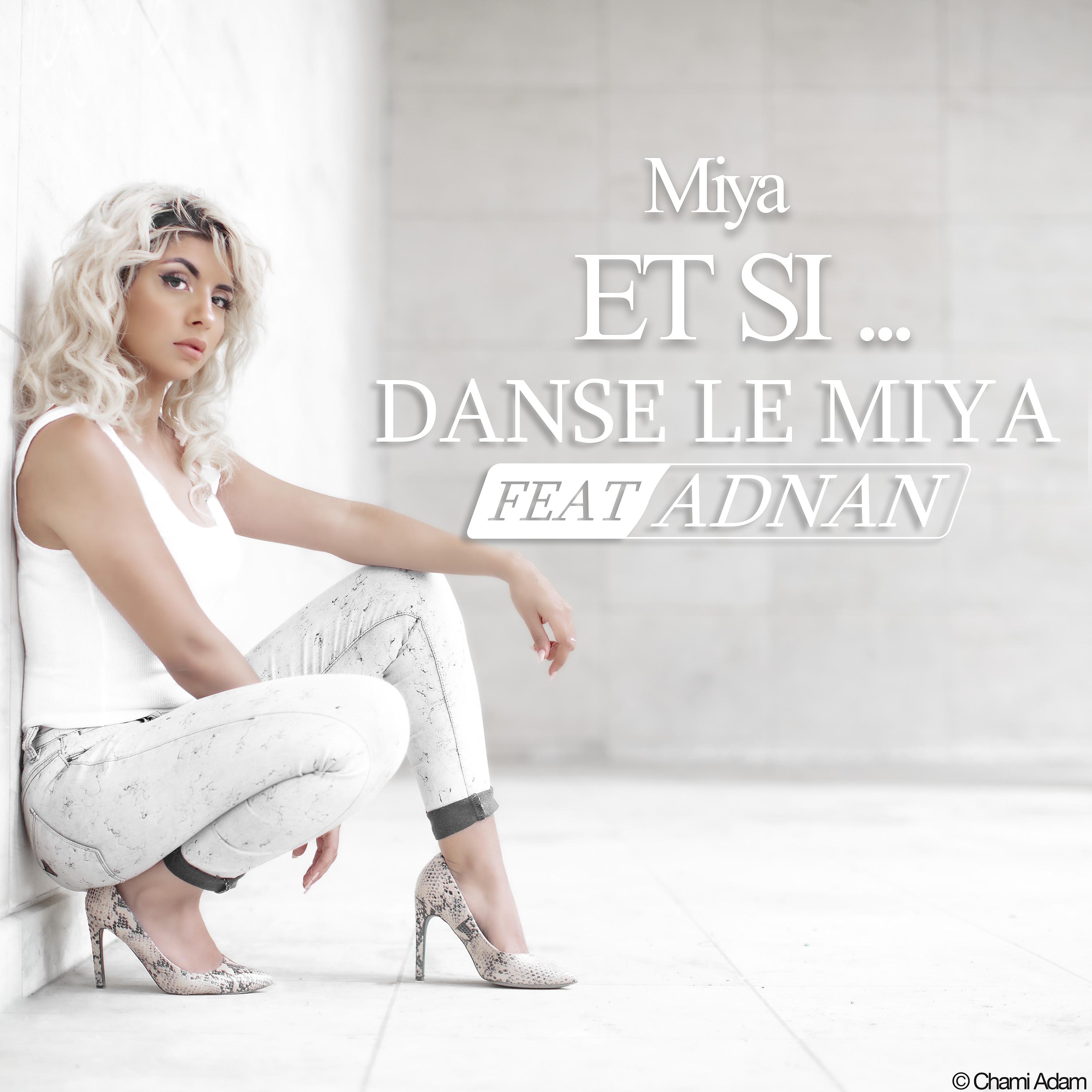 Постер альбома Danse Le Miya