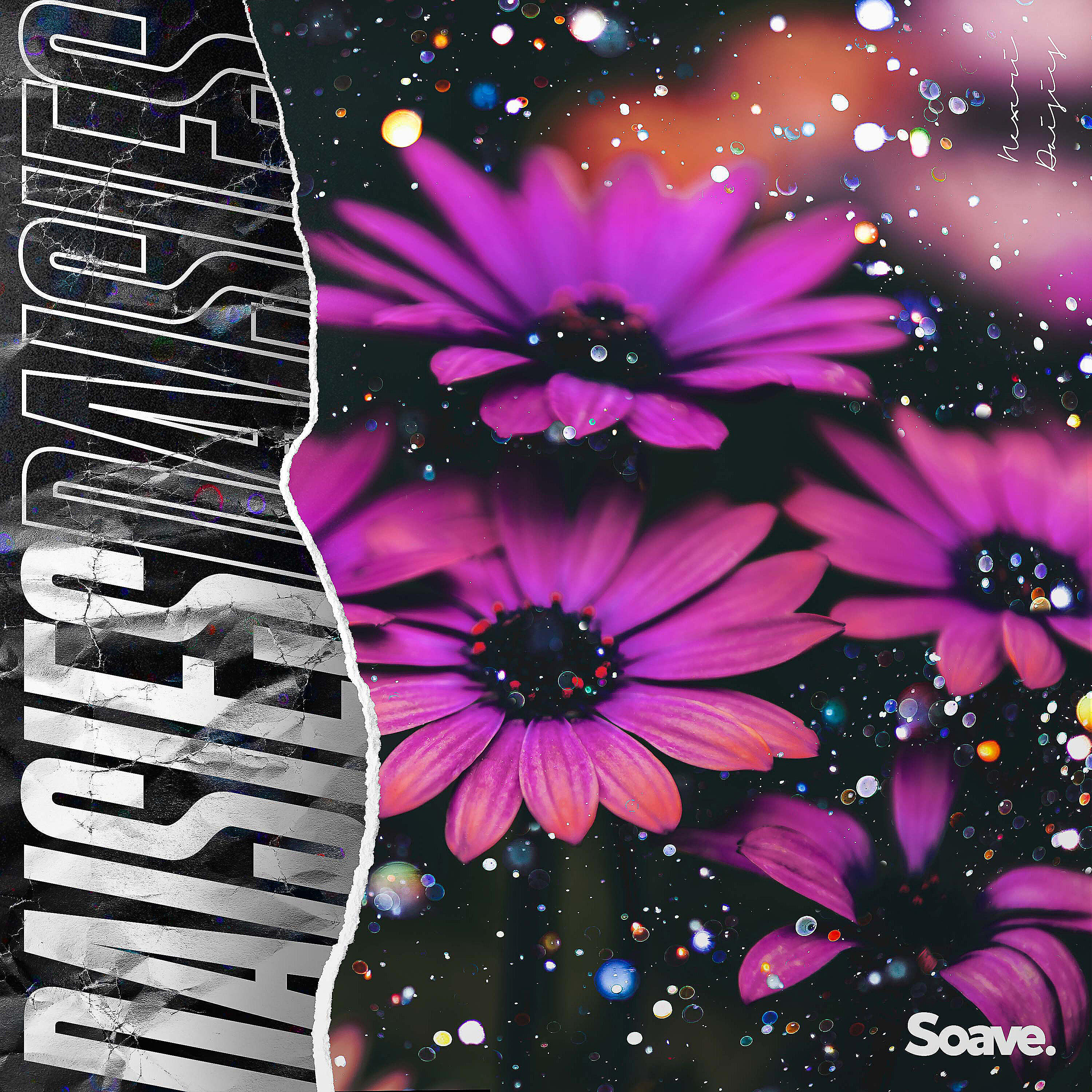 Nexeri - Daisies