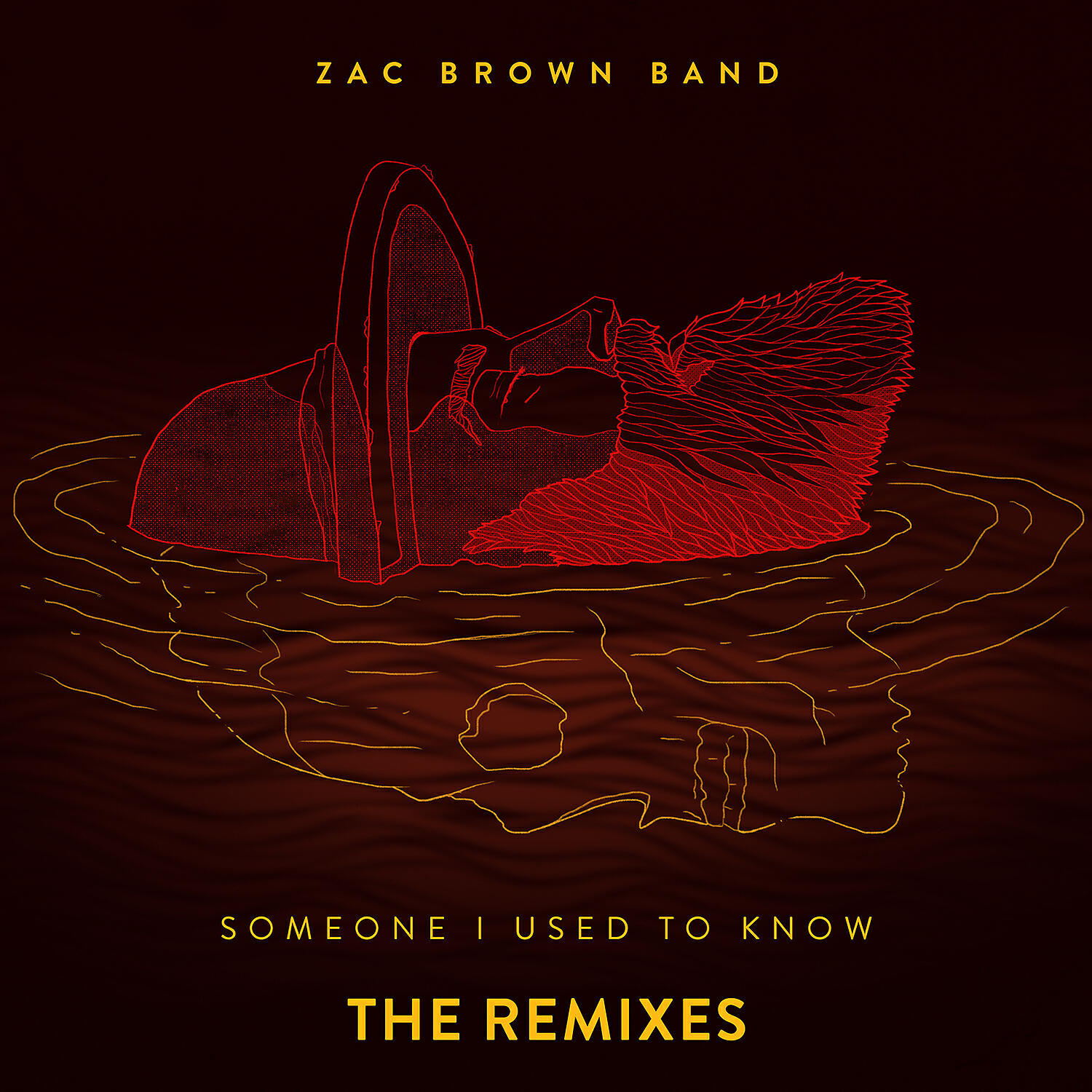 Zac Brown Band - Someone I Used To Know (Riddler Radio Remix)