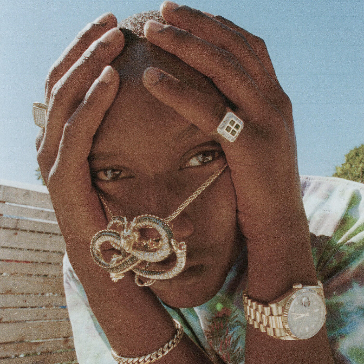 Buddy - Hollyhood