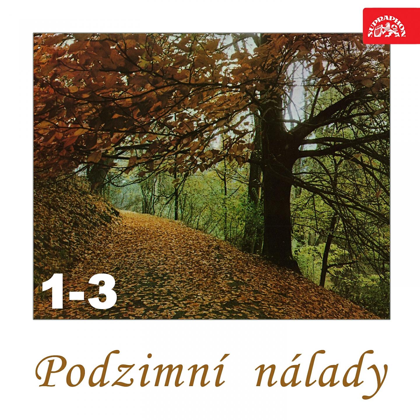 Miroslav Šuba - Mlhavý den