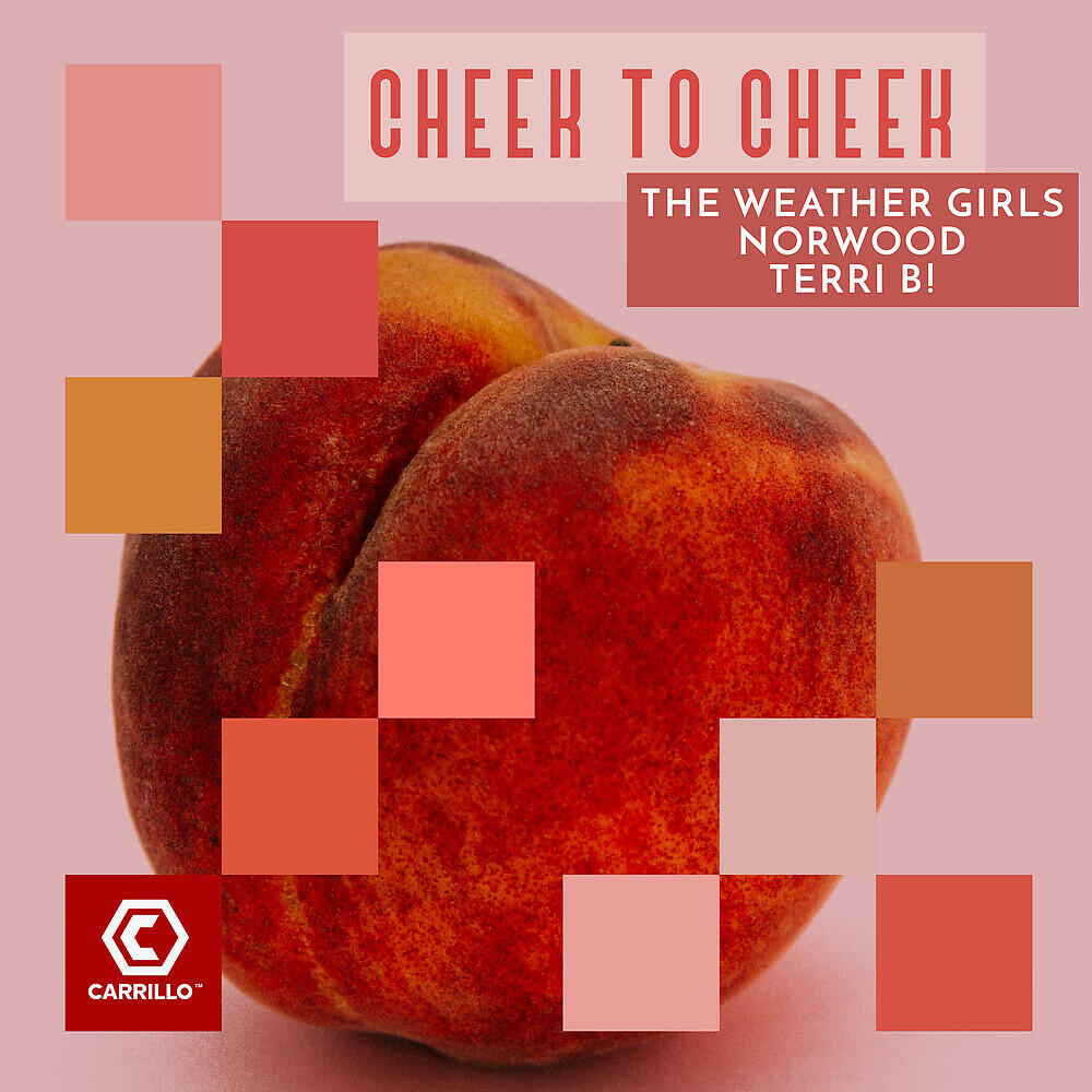 The Weather Girls - Cheek to Cheek (James Chris Club Mix)
