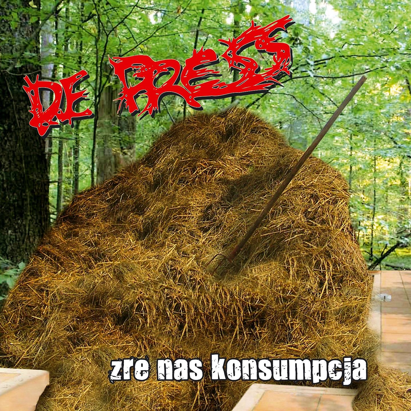 Постер альбома Źre nas konsumpcja
