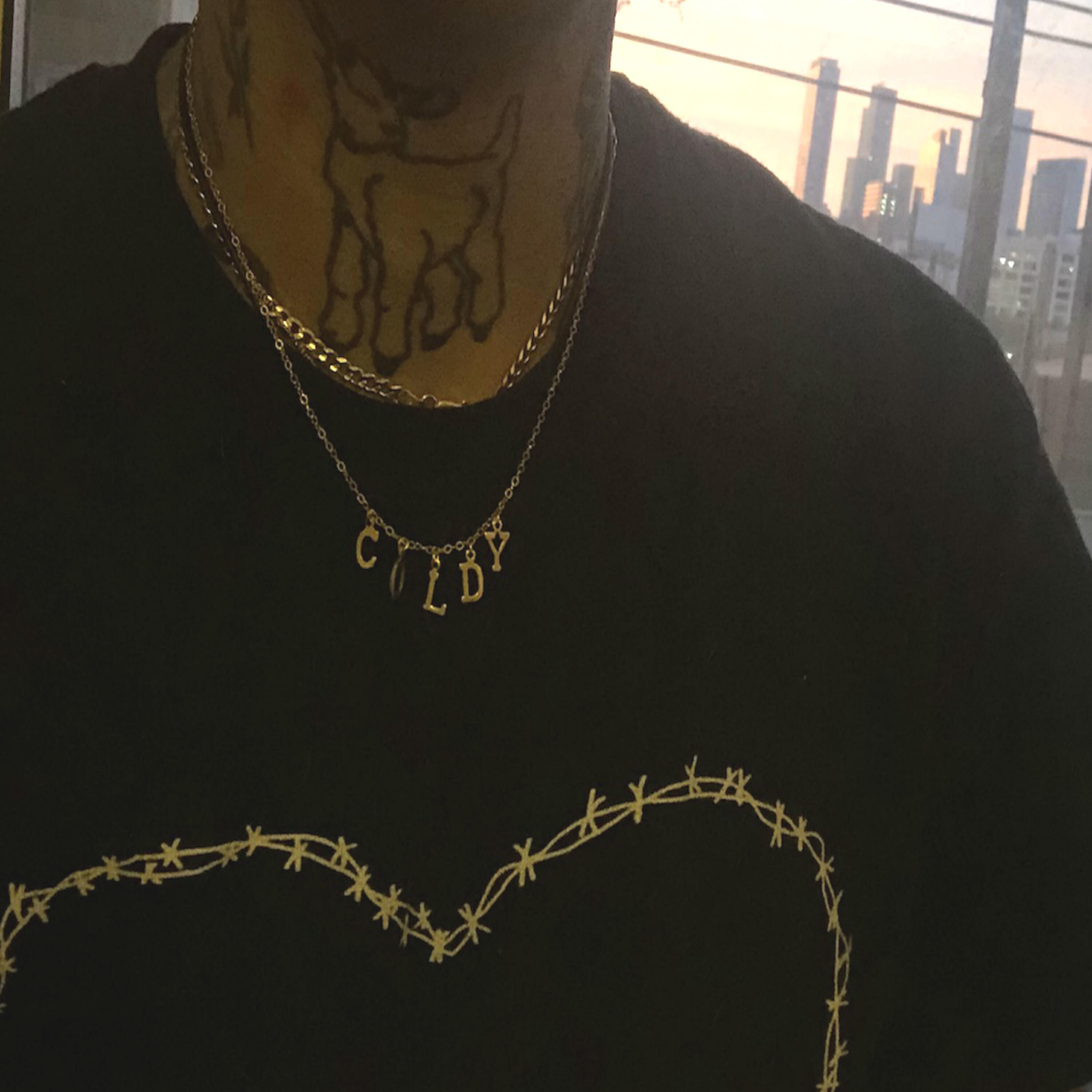 Cold Hart - European Coins
