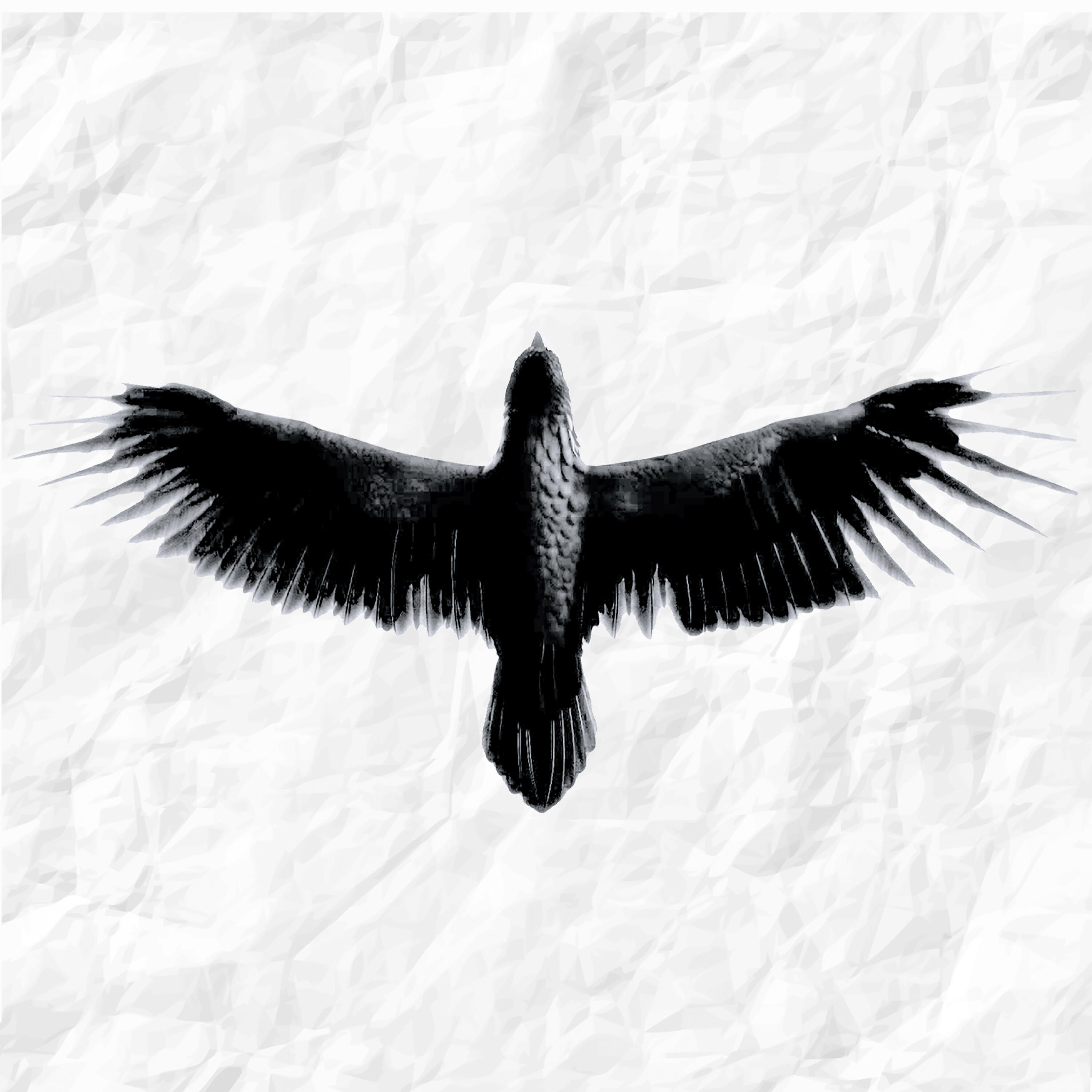 Birdie Pirat - Lille Venn (Outro)