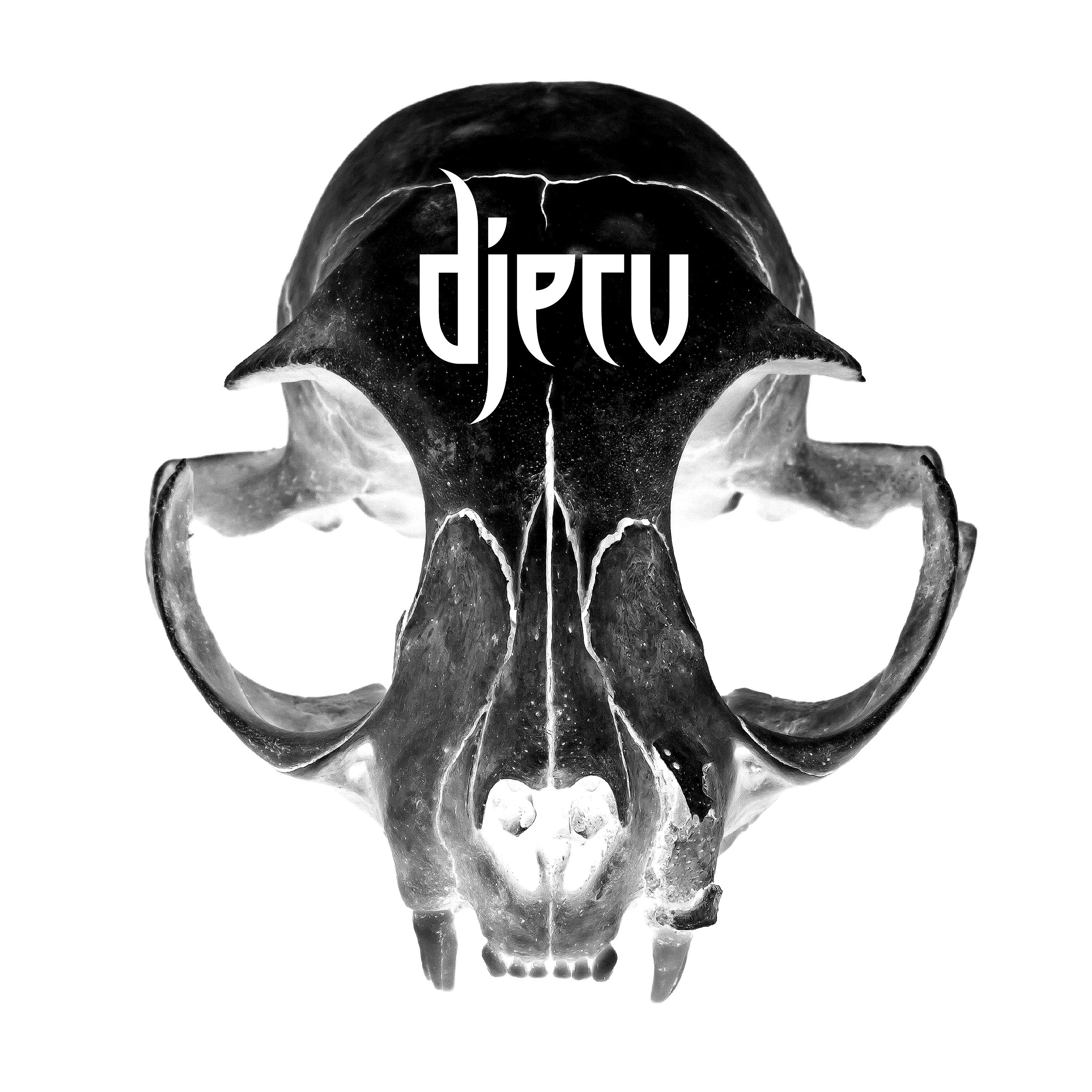 Постер альбома Djerv