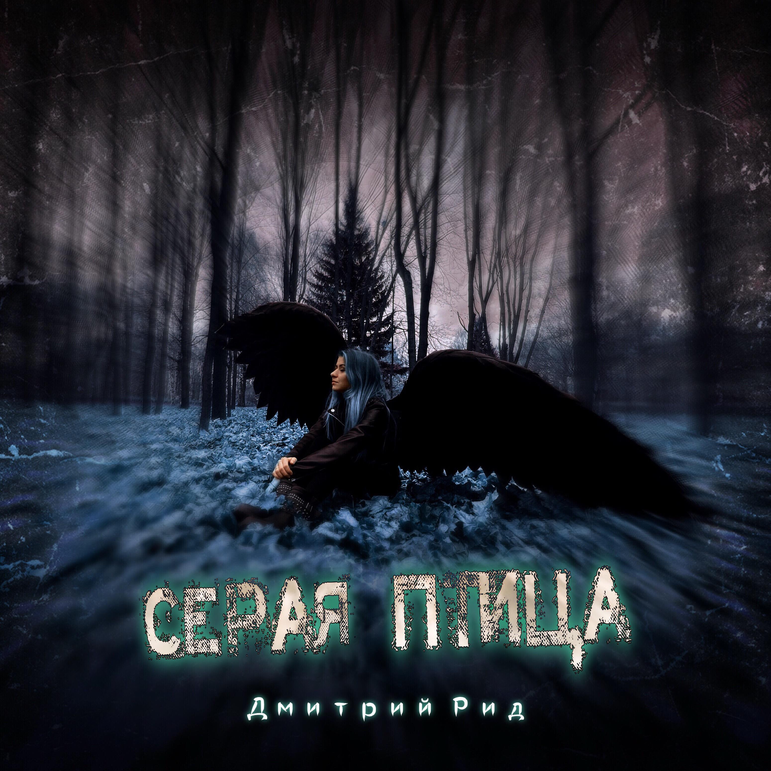 Дмитрий Рид - Серая птица
