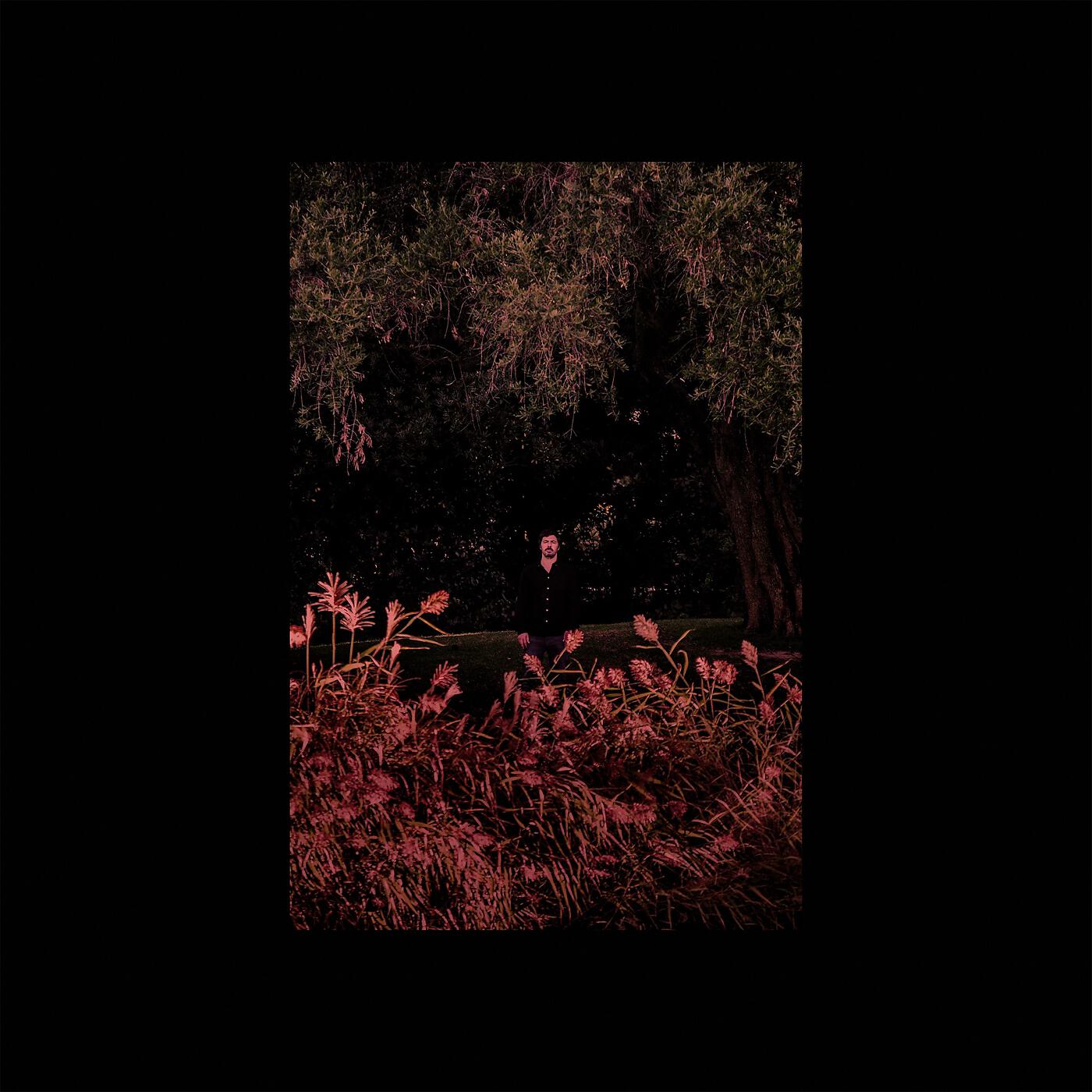 Esteves - Vista de Cima