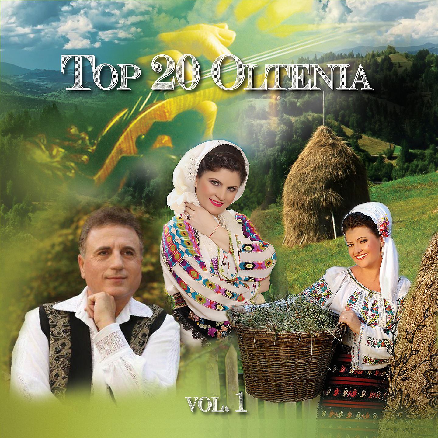Постер альбома Top 20 Oltenia, Vol. 1