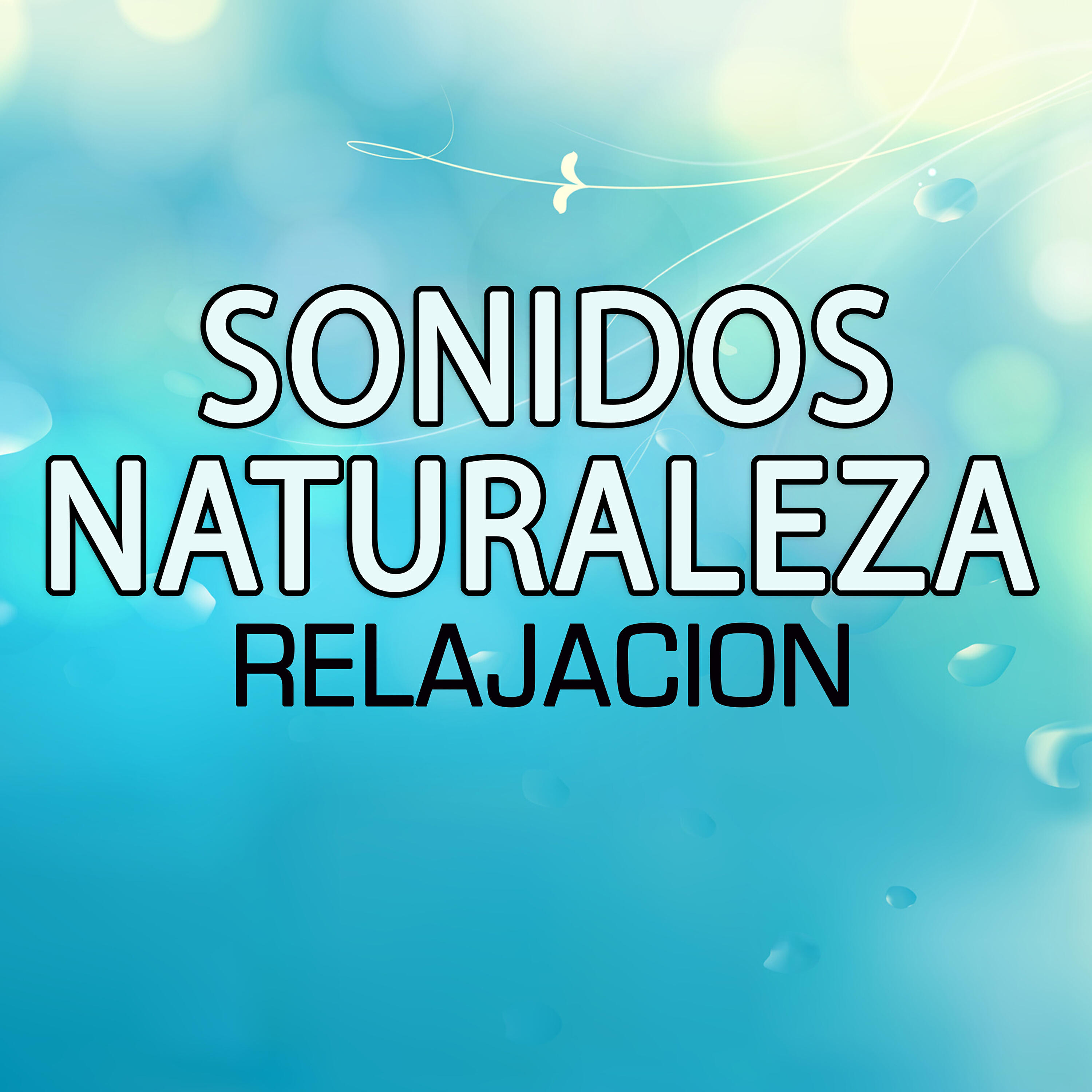 Relajacion Del Mar - Waves: White Noise Adaman