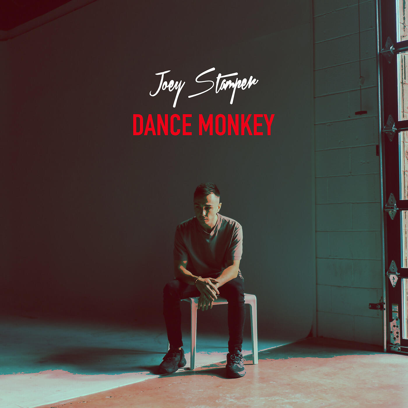 Joey Stamper - Dance Monkey
