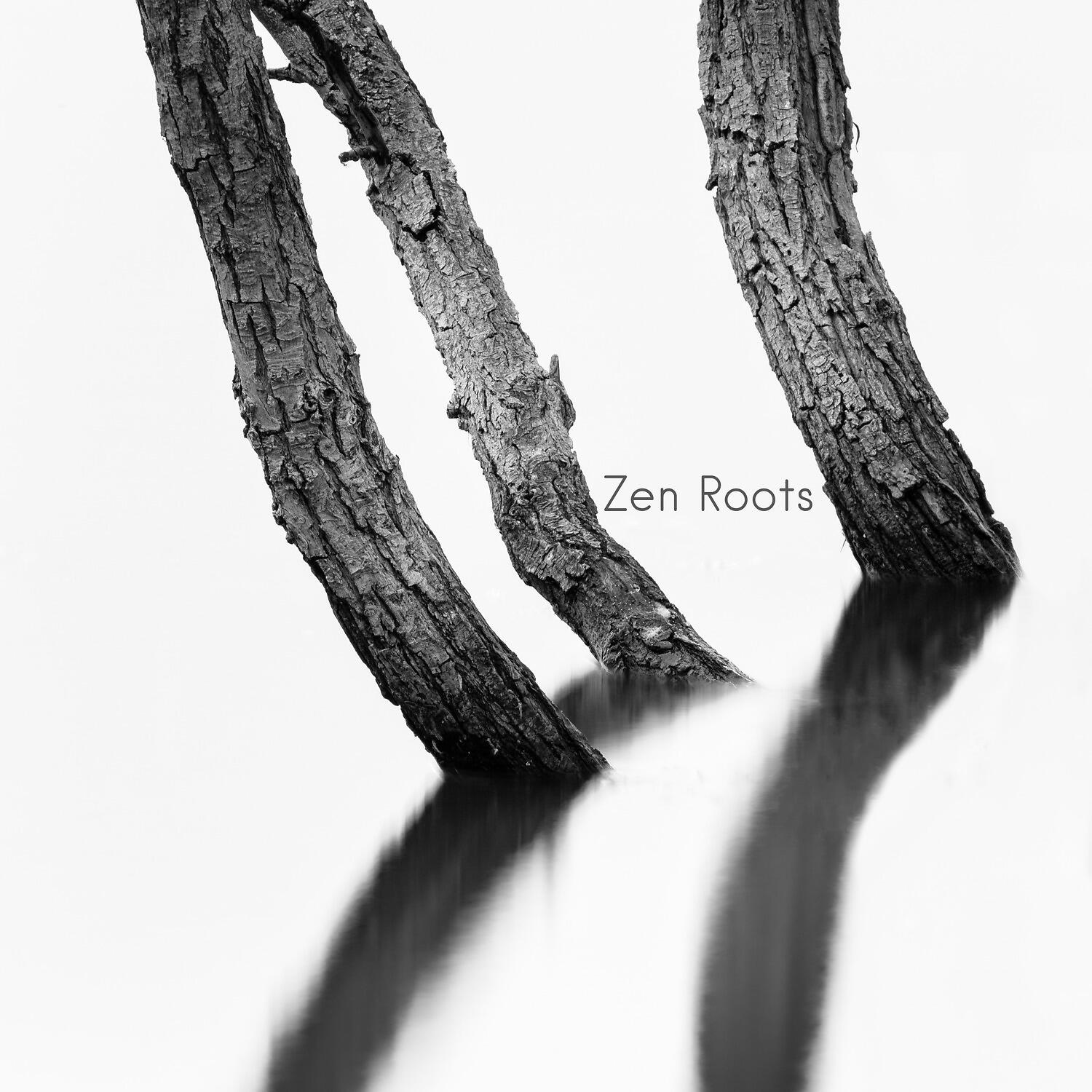 Zen Music Garden - Reach Your Innerself