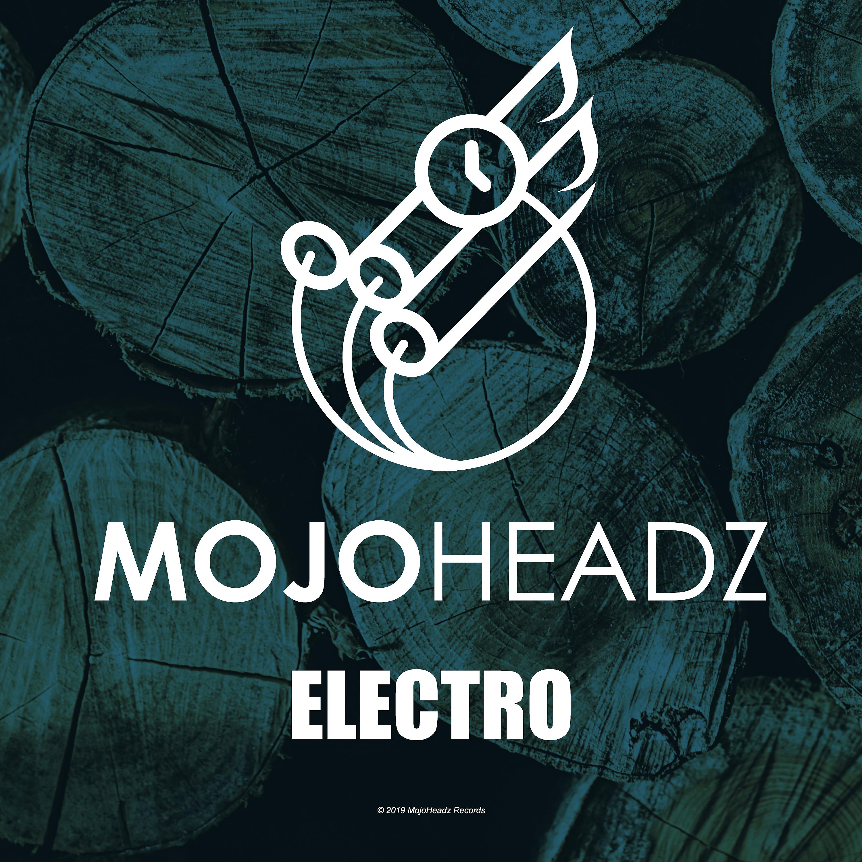Постер альбома Mojoheadz Electro