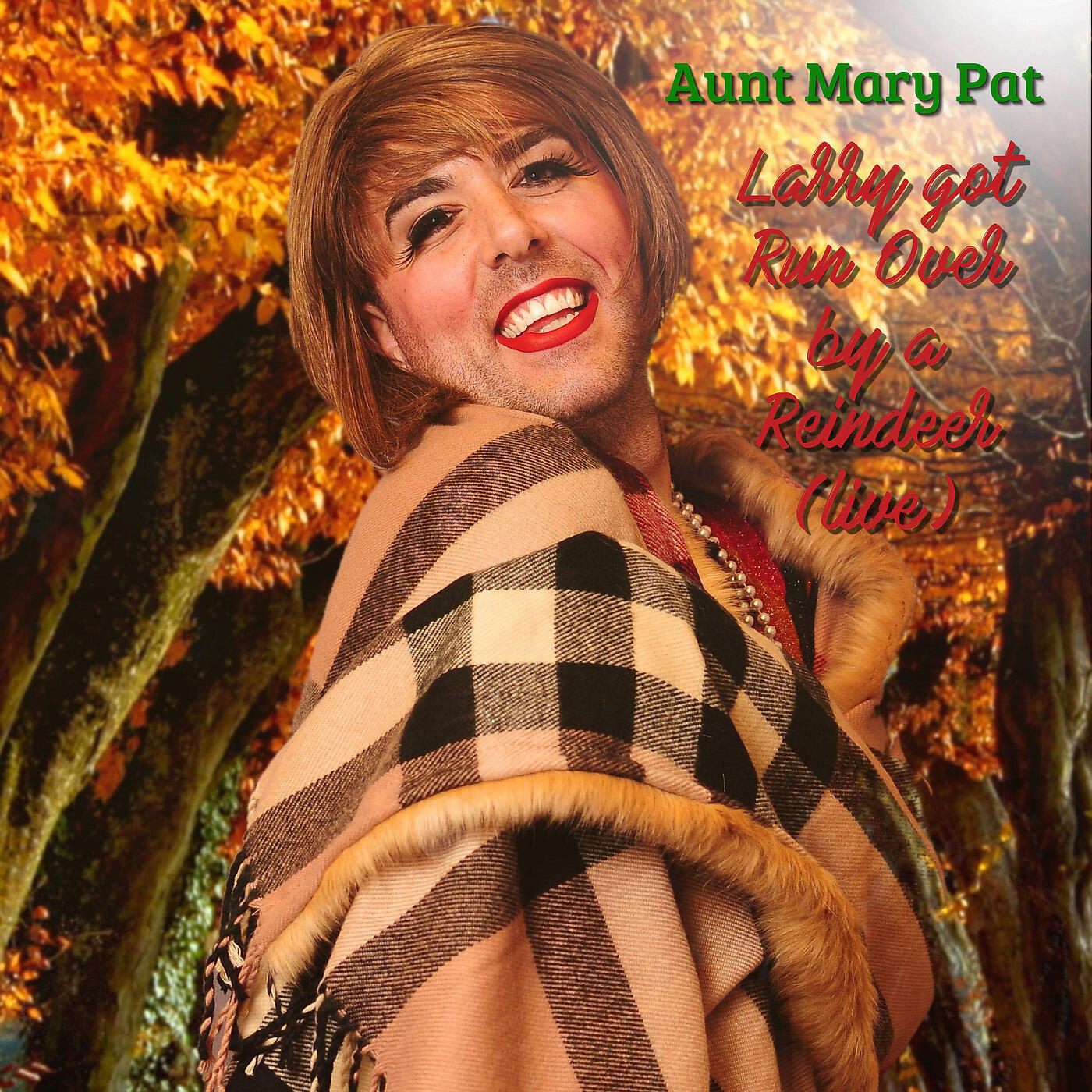 Aunt Mary Pat - Larry Got Run over by a Reindeer (Live)