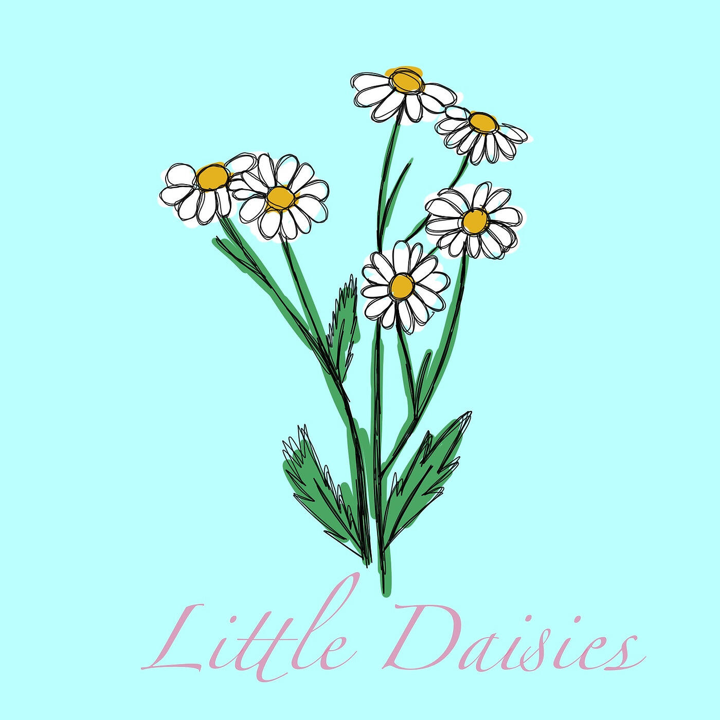 Little Daisies - N.O.Y.B