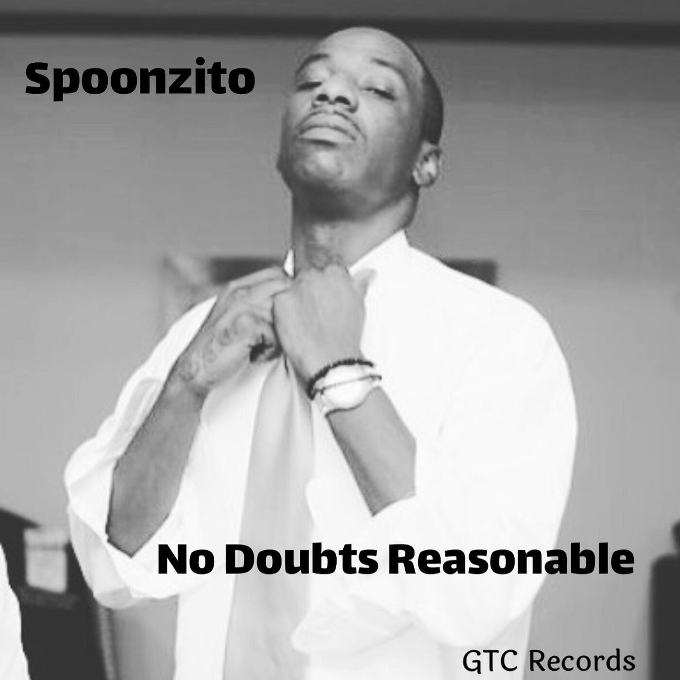 Spoonzito - All for the Love