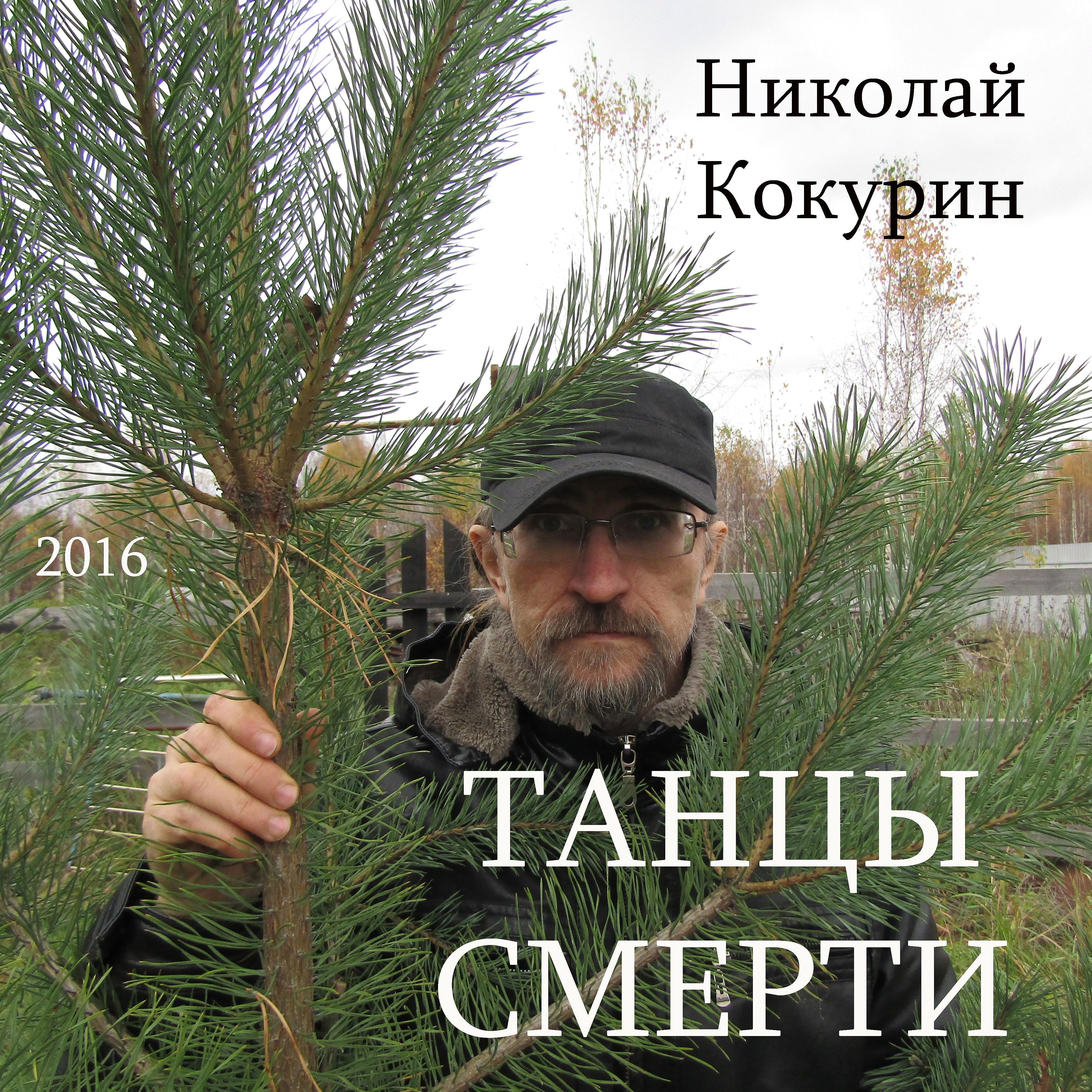 Николай Кокурин - Поездка