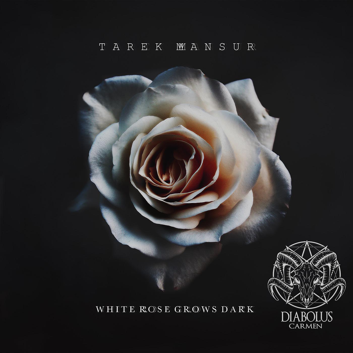 Постер альбома White Rose Grows Dark