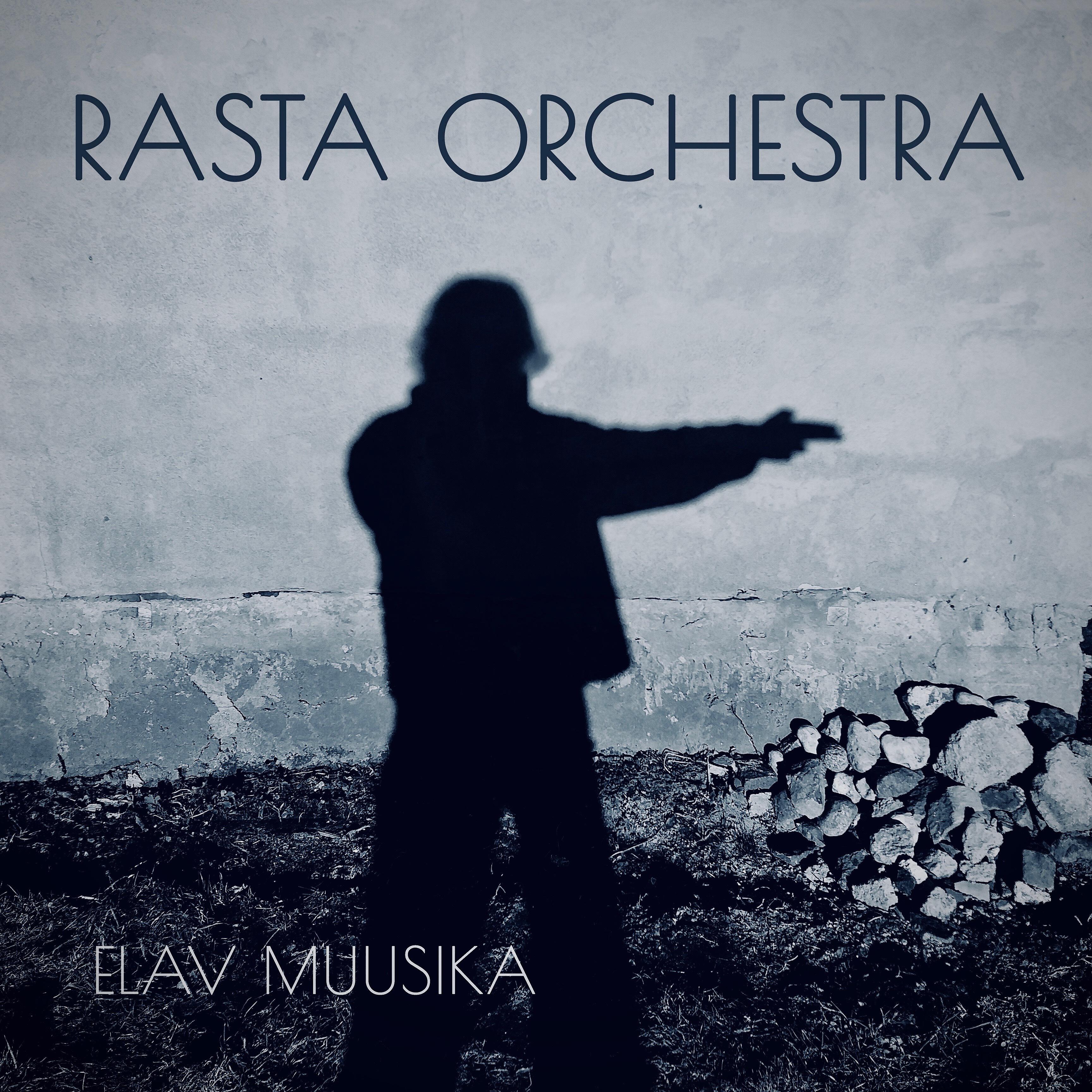 Постер альбома Elav Muusika