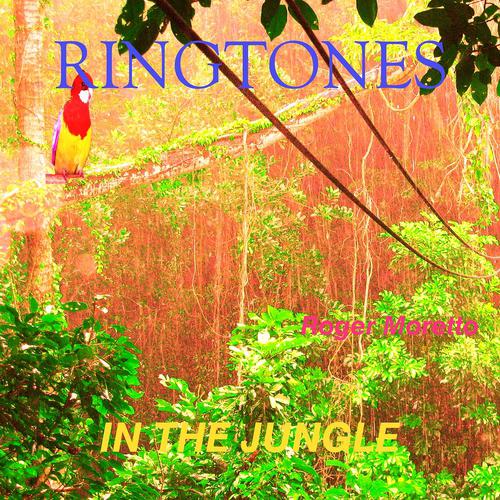 Постер альбома Jungle Dream Ringtone