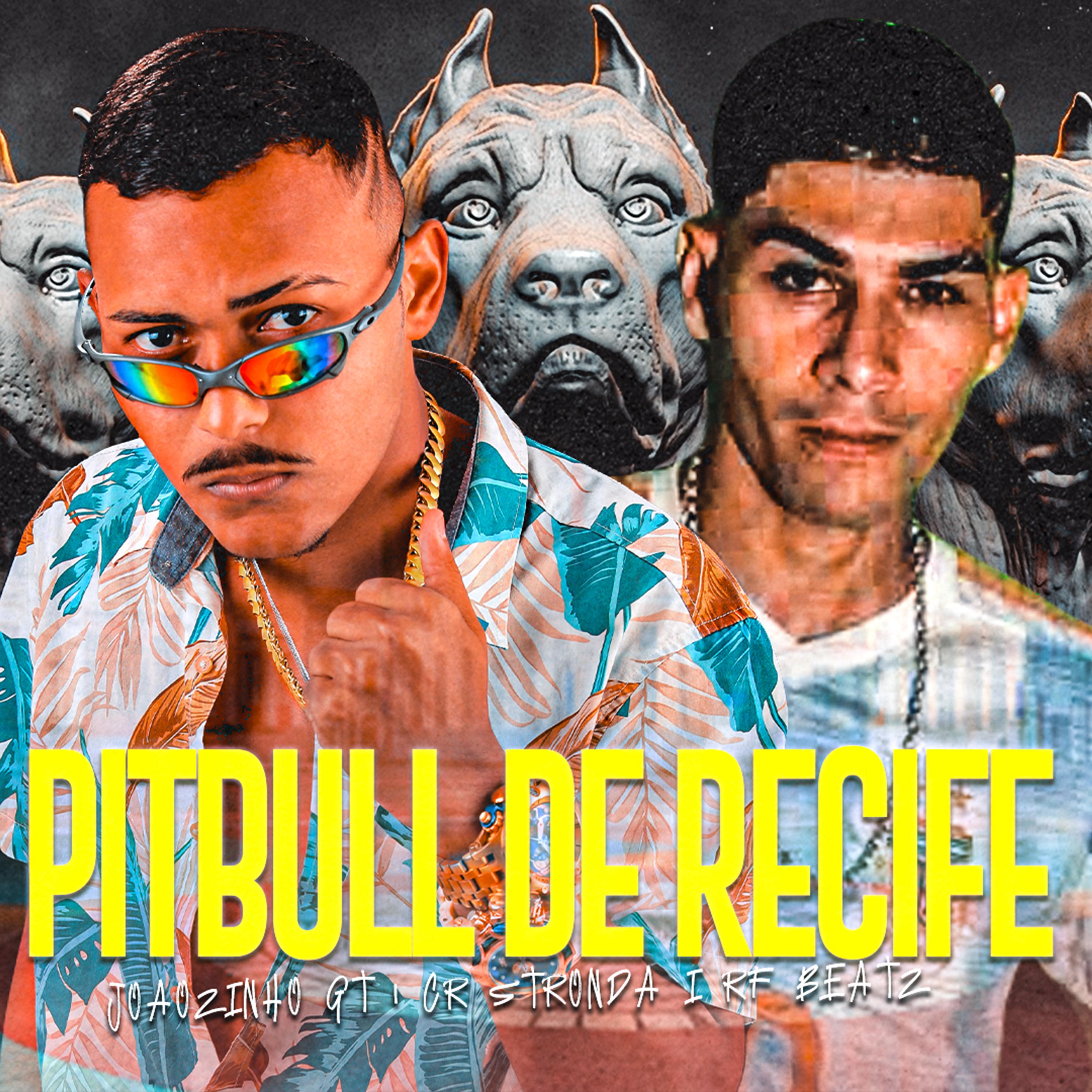 Постер альбома Pitbull de Recife