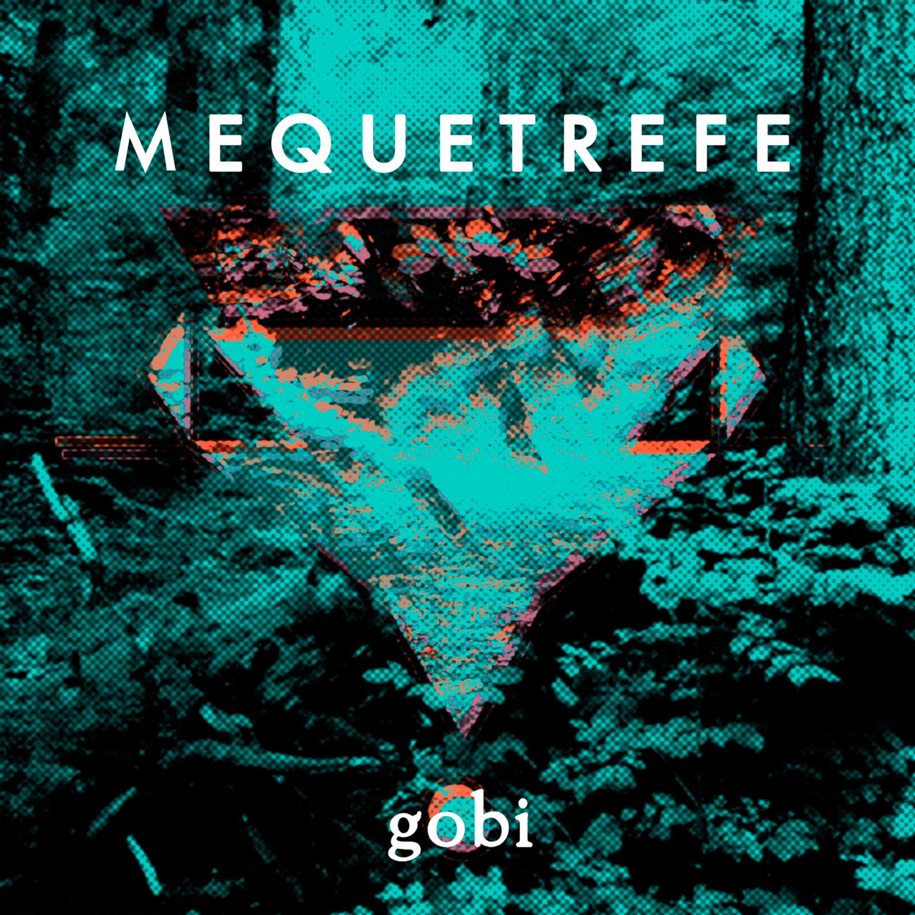 Постер альбома Gobi