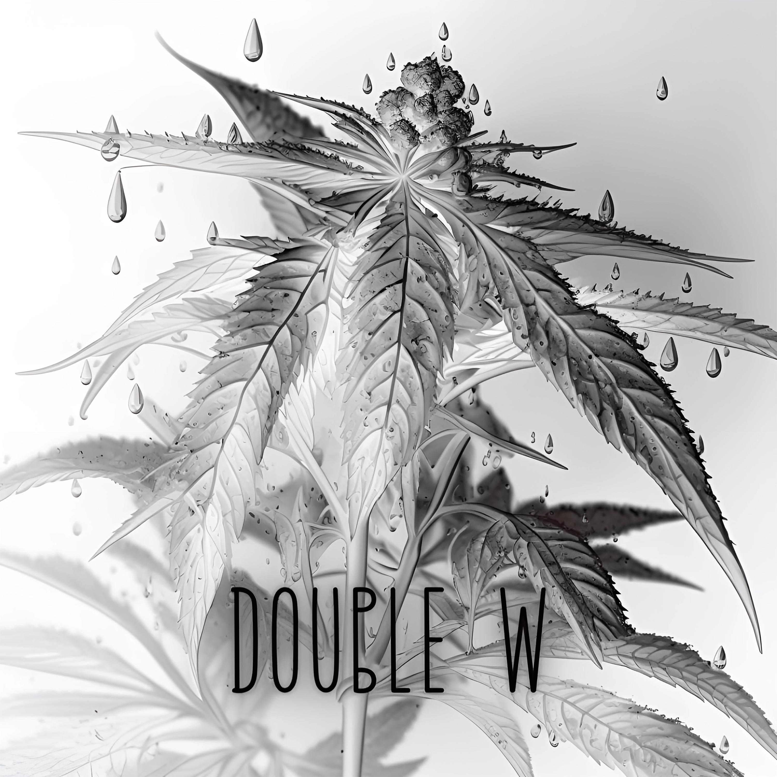 Постер альбома Double W