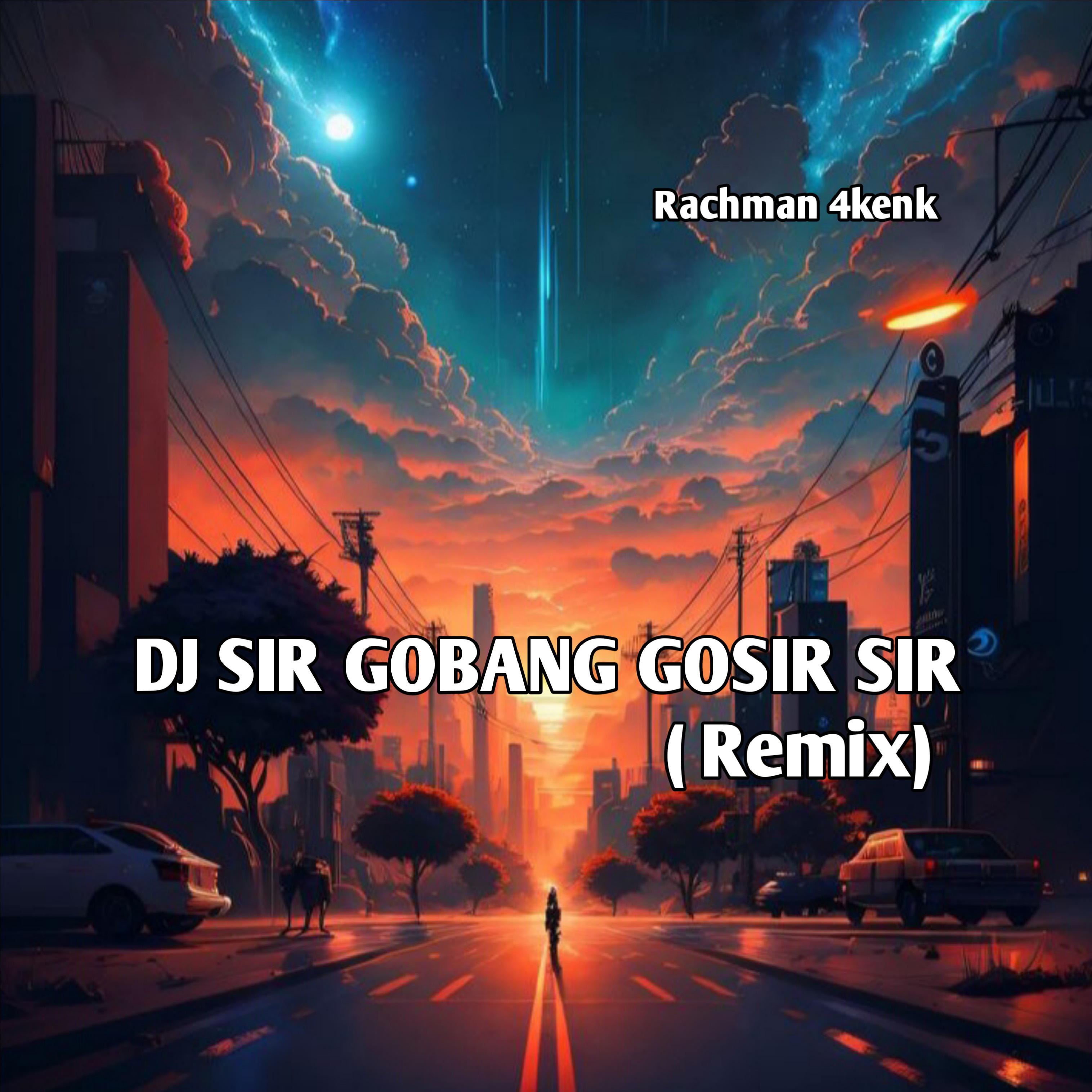 Постер альбома DJ SIR GOBANG GOSIR SIR (Remix)