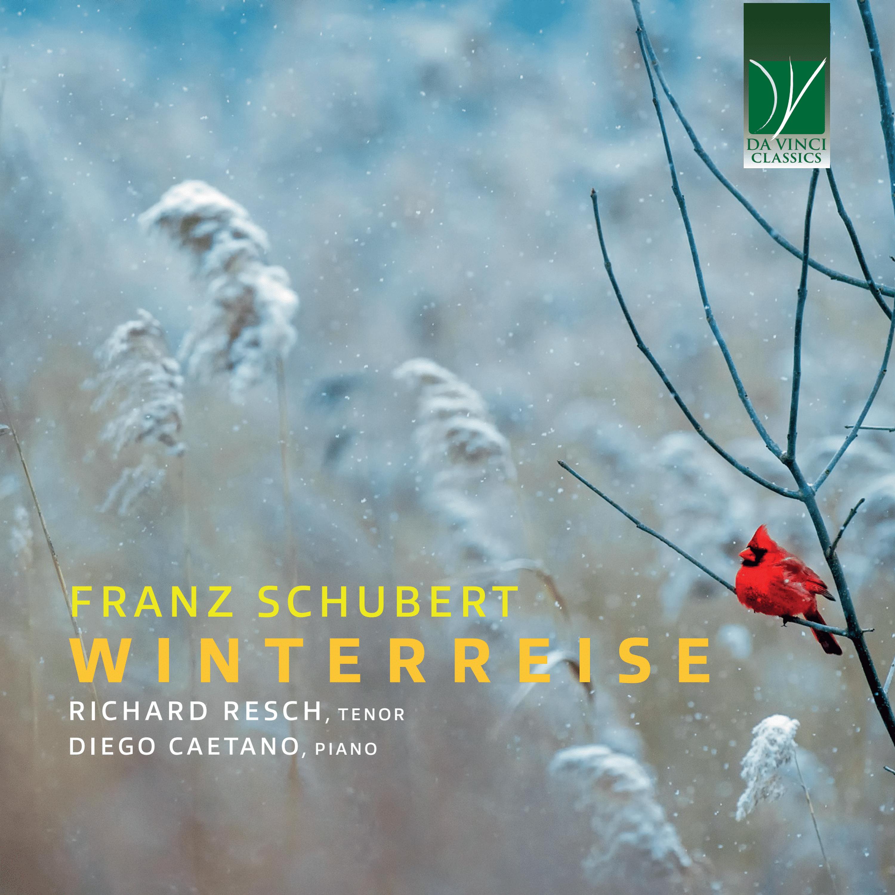 Постер альбома Franz schubert: winterreise, D. 911
