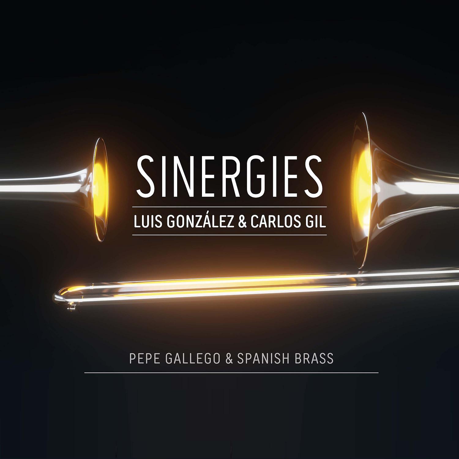 Постер альбома Sinergies