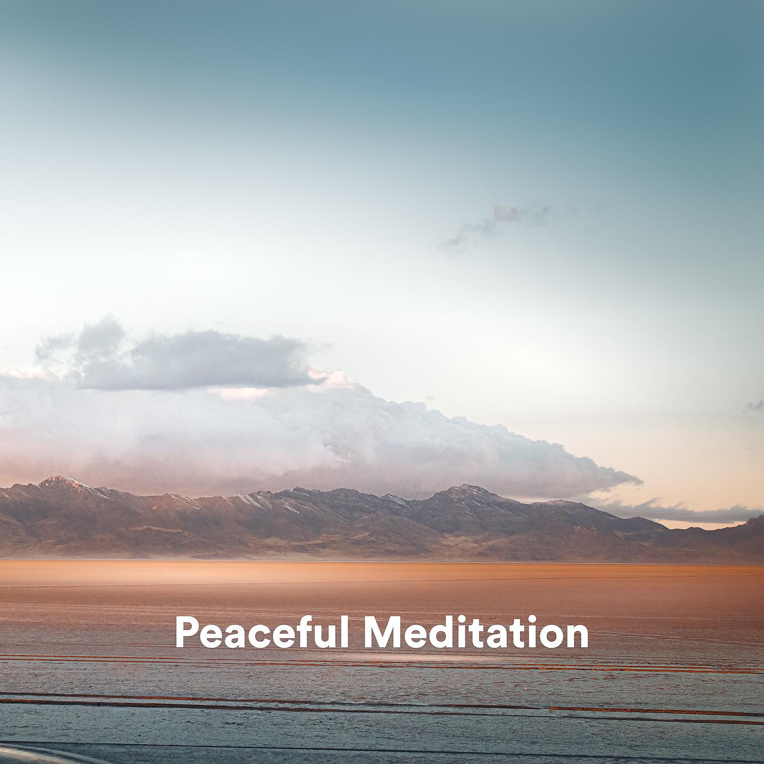 Постер альбома Peaceful Meditation