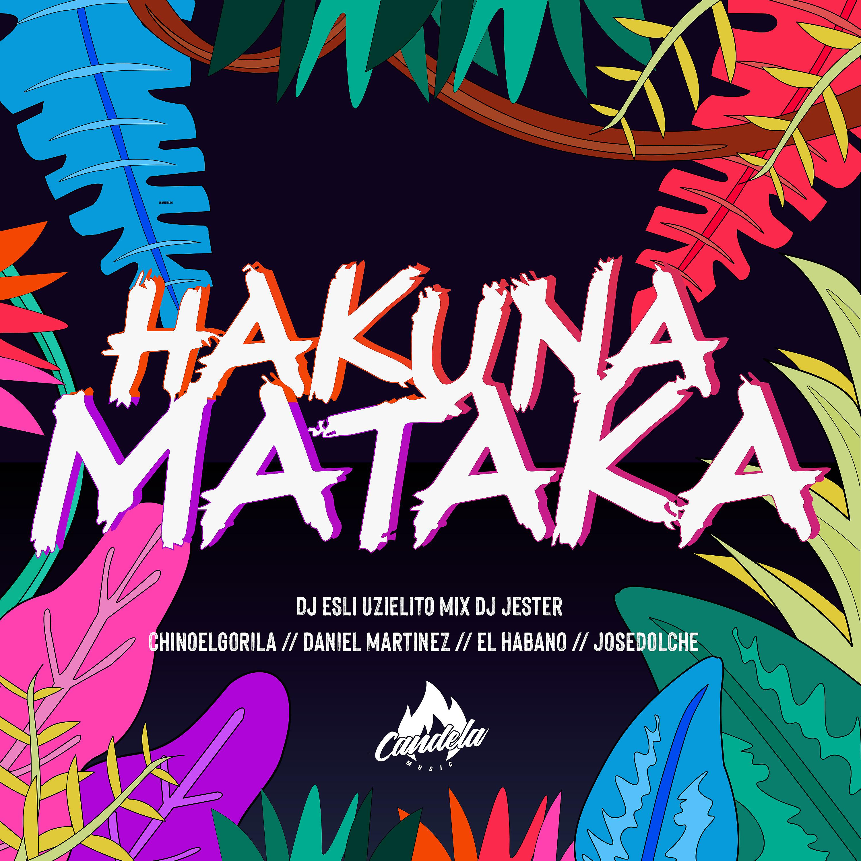 Постер альбома Hakuna Mataka (feat. Daniel Martinez, DJ Esli, DJ Jester, El Habano & Jose Dolche)