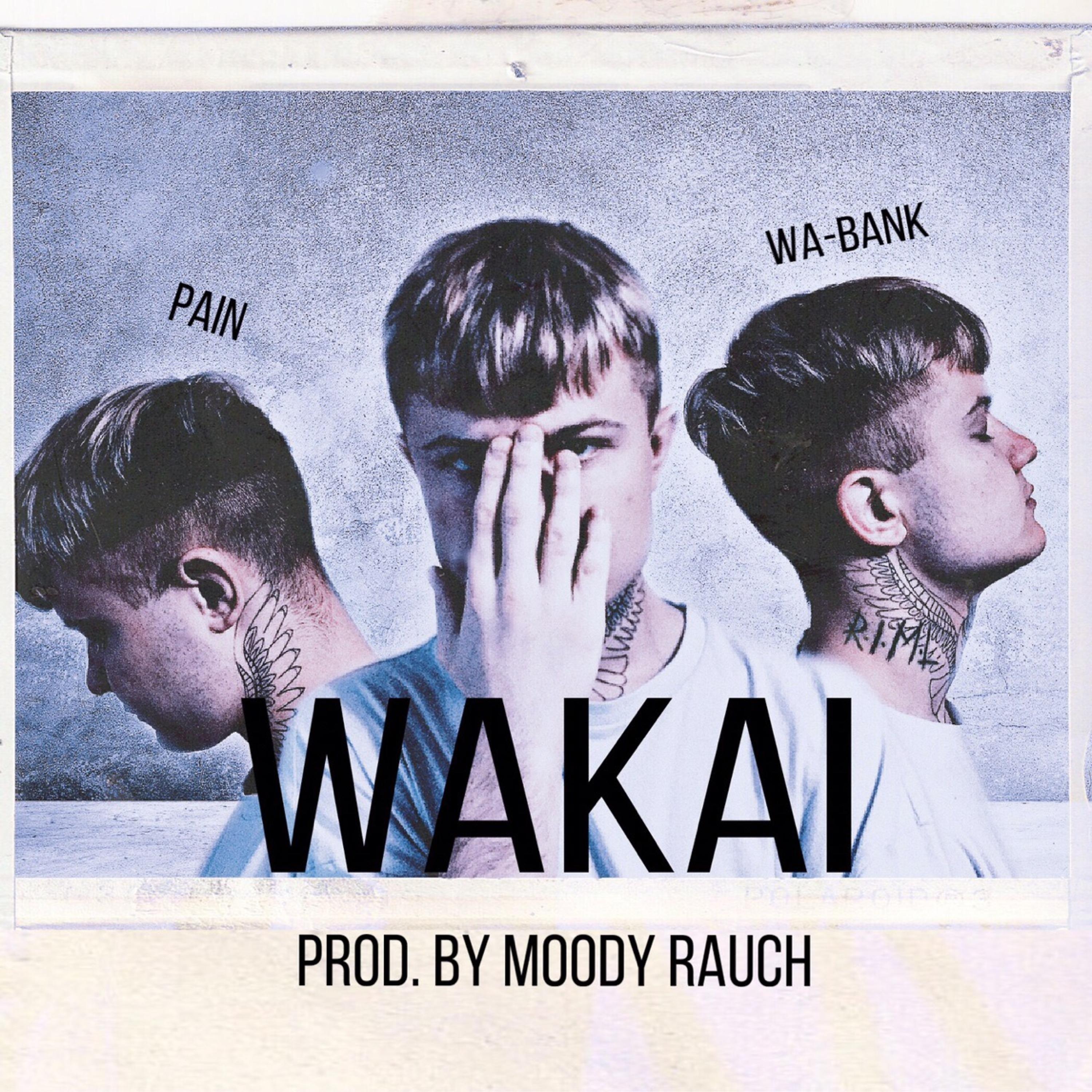 Постер альбома Pain & Wa-Bank