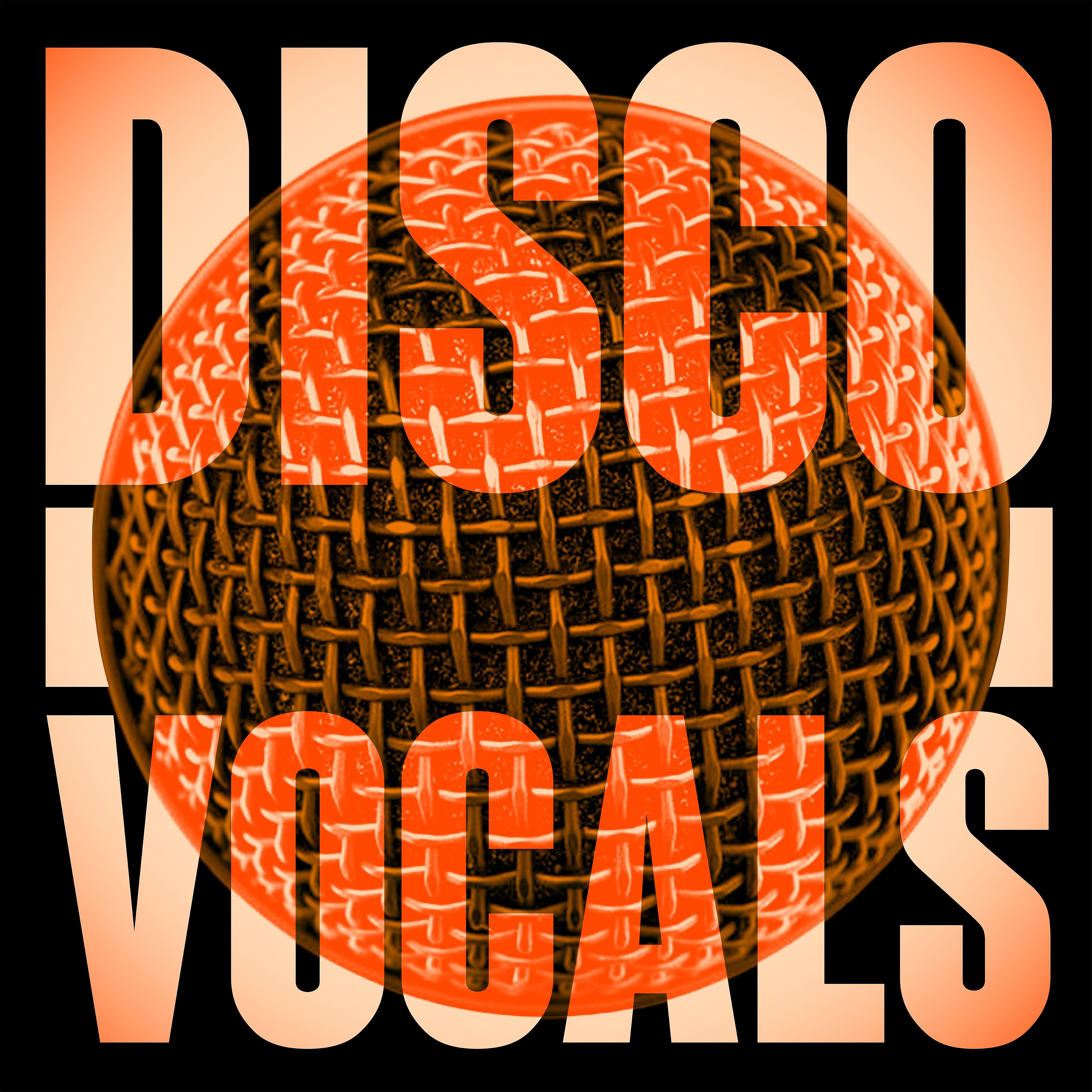 Постер альбома Disco Vocals: Soulful Dancefloor Cuts Featuring 23 Of The Best Grooves