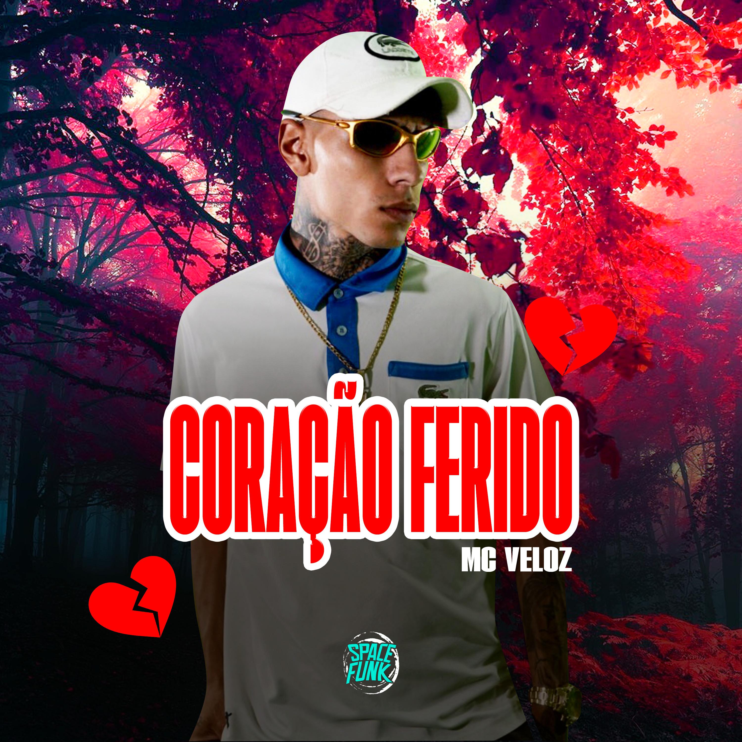 Постер альбома Coração Ferido