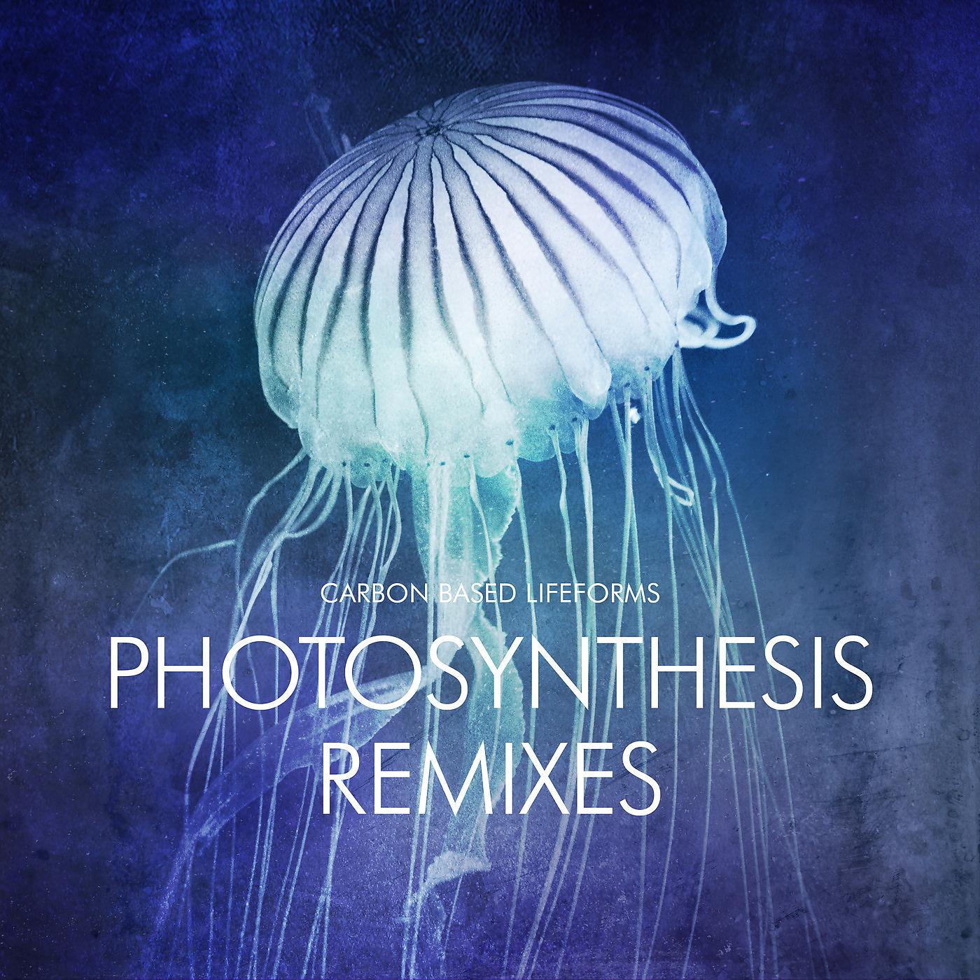 Постер альбома Photosynthesis (Remixes)