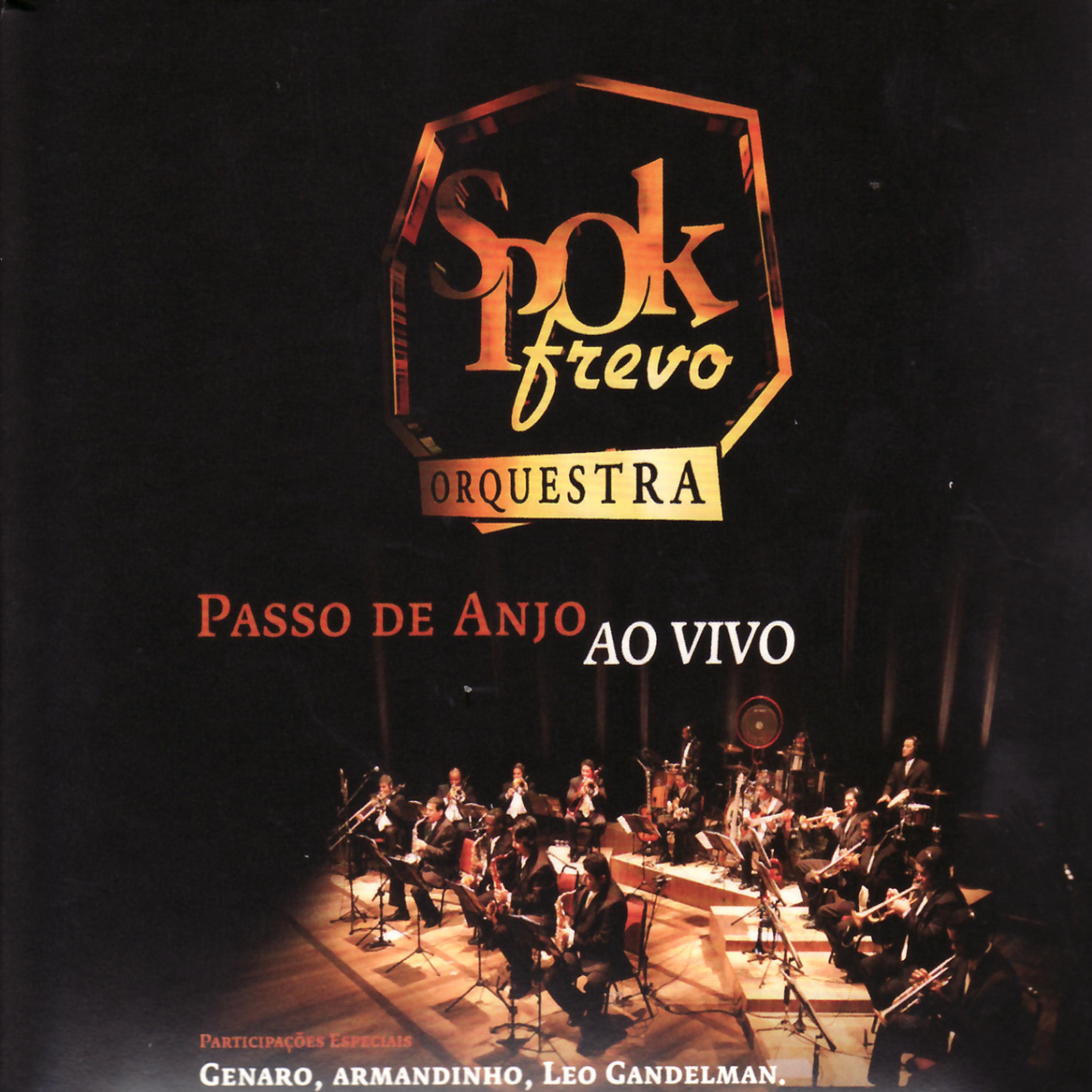Постер альбома Passo De Anjo Ao Vivo