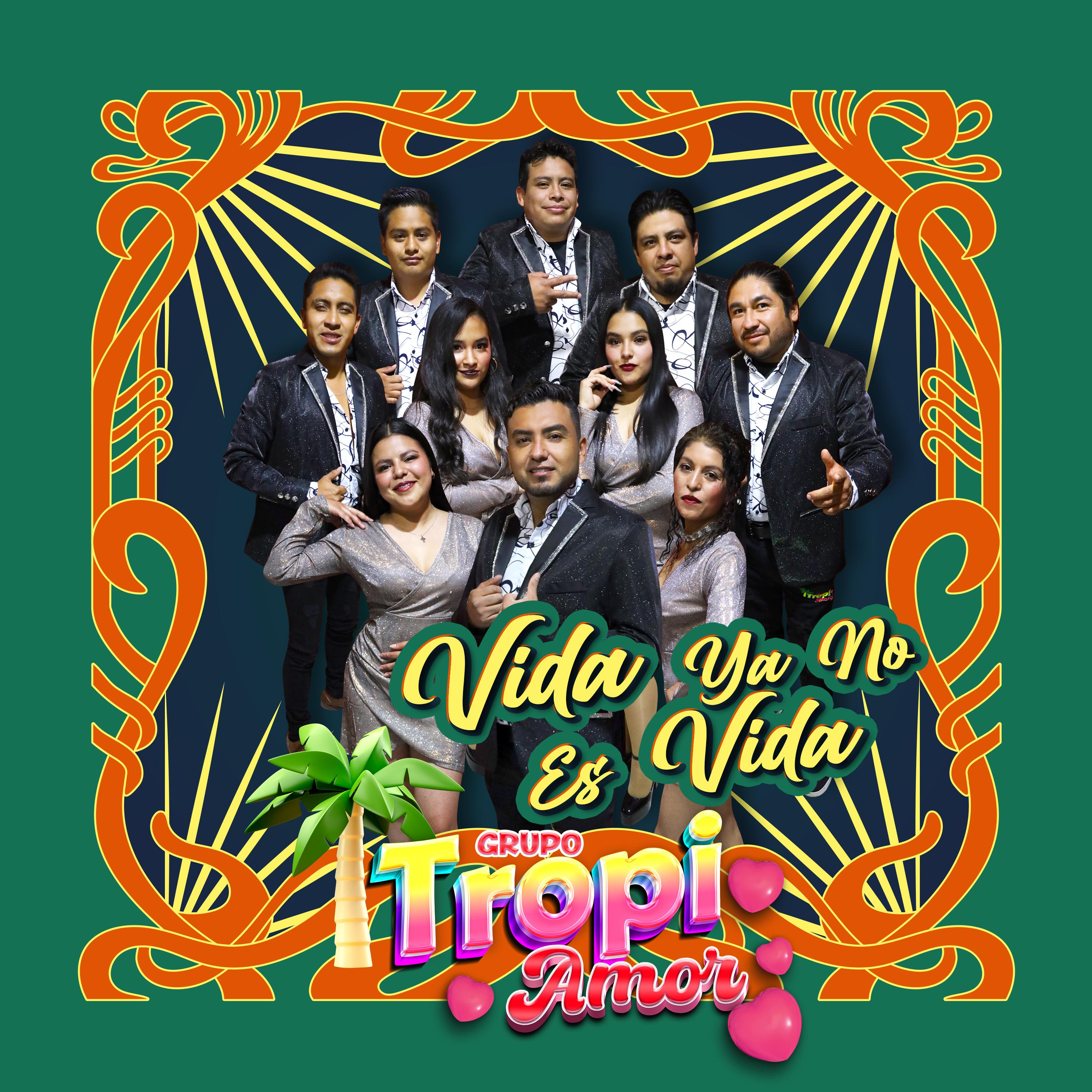 Постер альбома Vida Ya No Es Vida