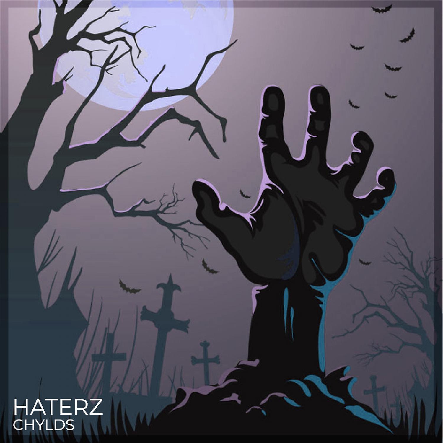 Постер альбома Haterz