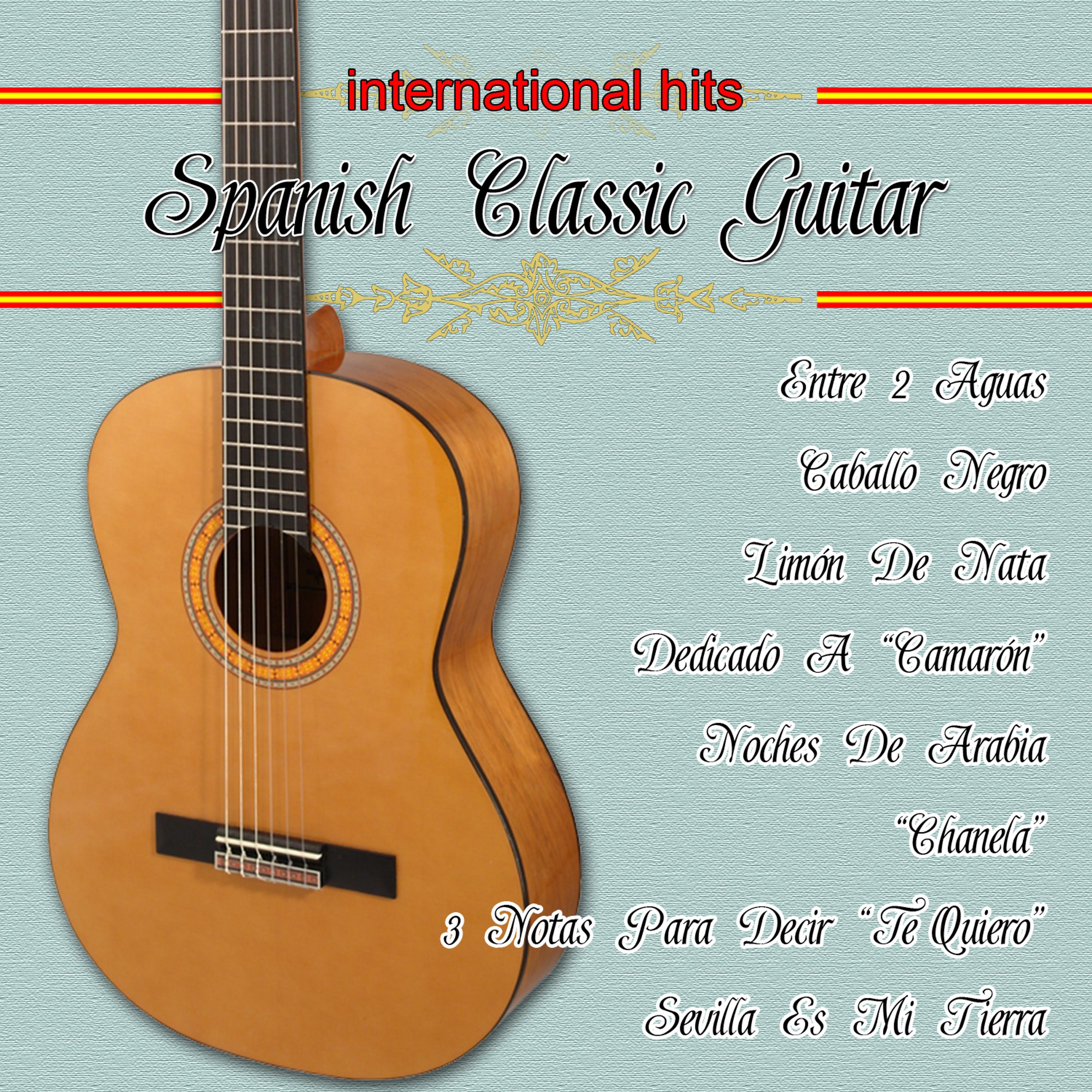 Постер альбома 20 Spanish Guitar Classic: Greatest Hits