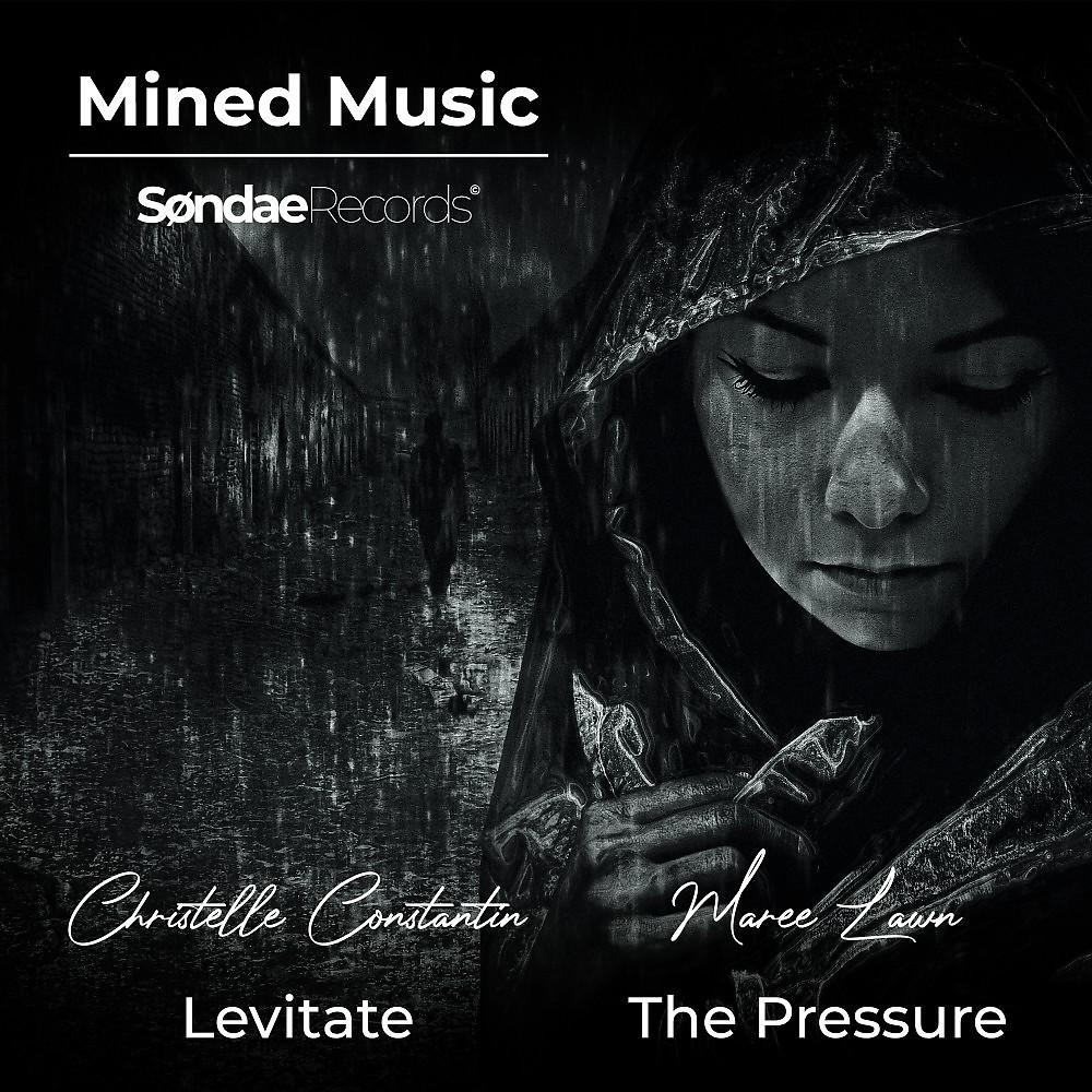 Постер альбома Levitate / The Pressure