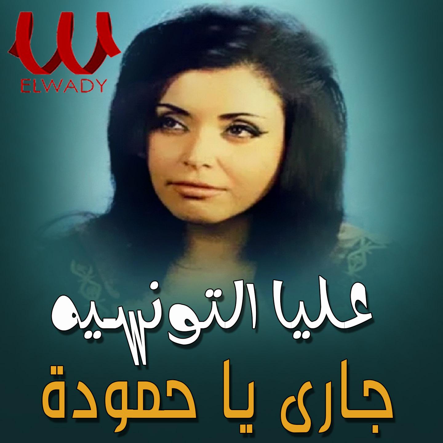 Постер альбома جاري يا حموده