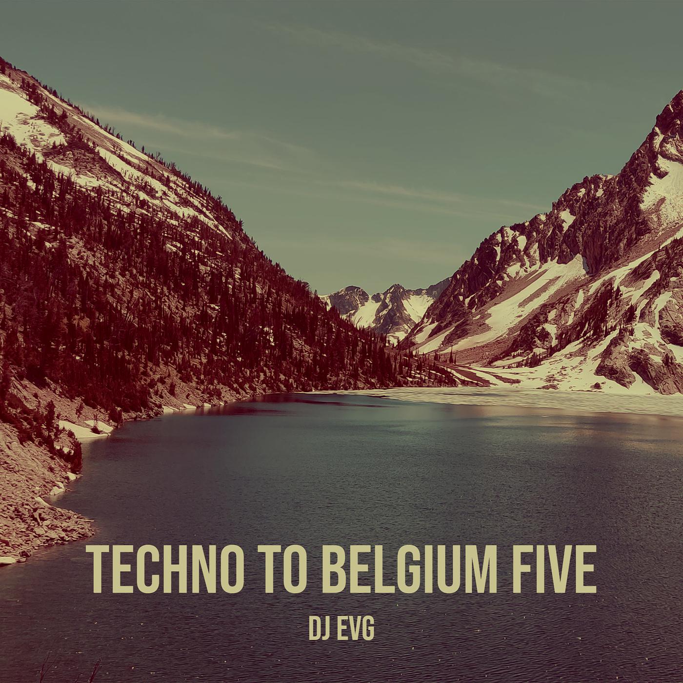 Постер альбома Techno to Belgium Five
