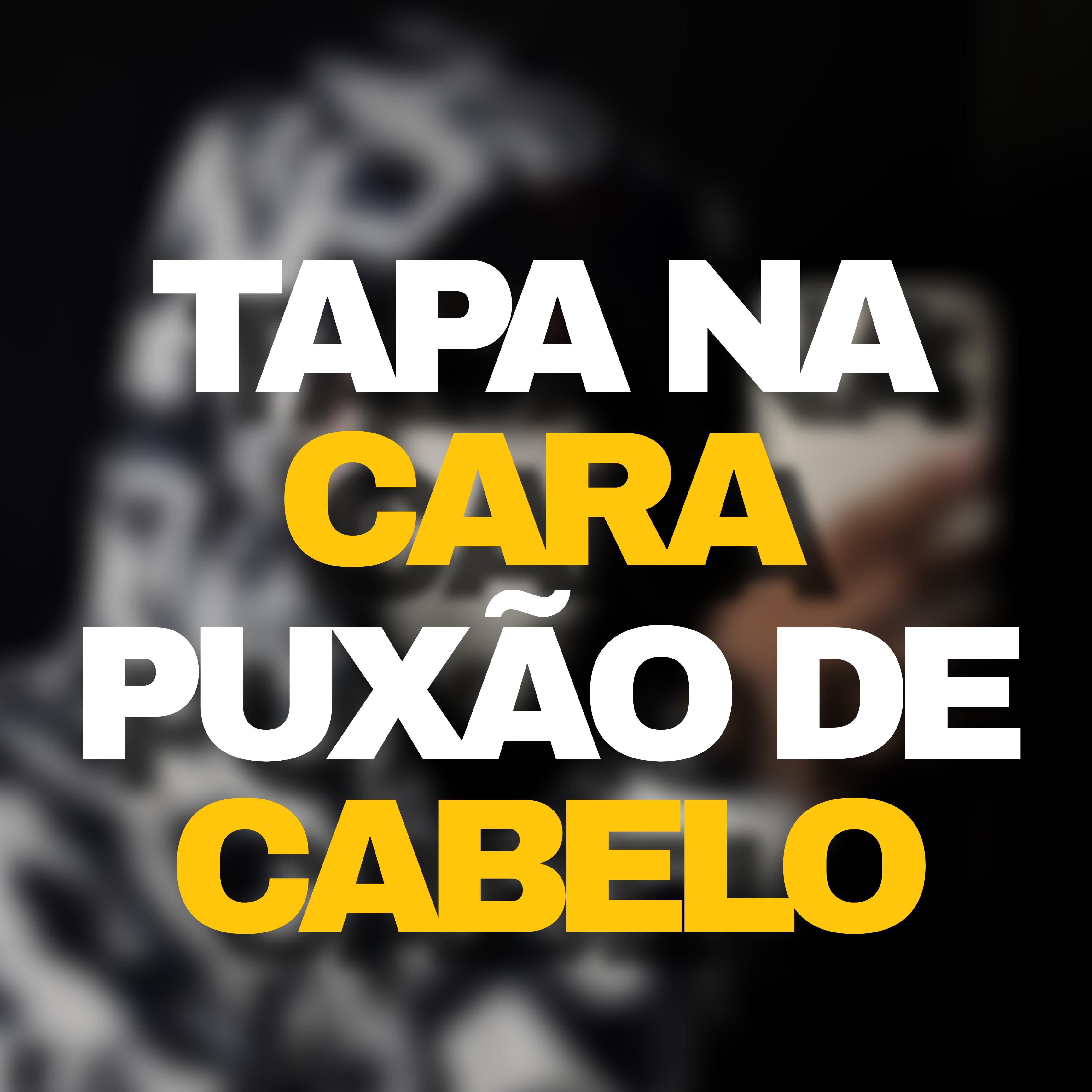 Постер альбома Tapa Na Cara puxão De Cabelo (feat. Dj Ryann)